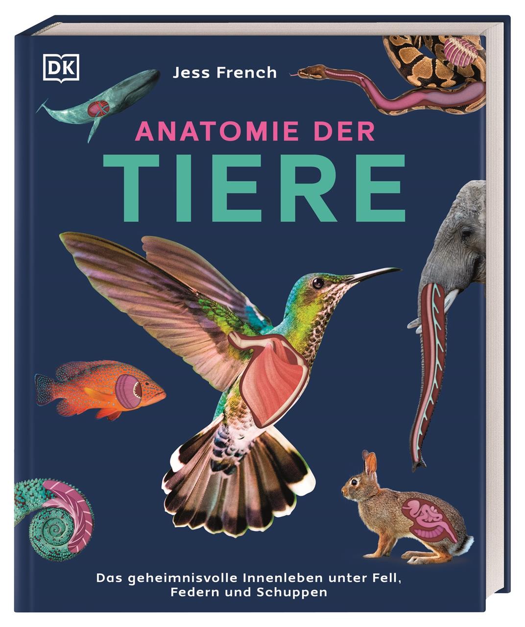 Vorderes Coverbild Anatomie der Tiere