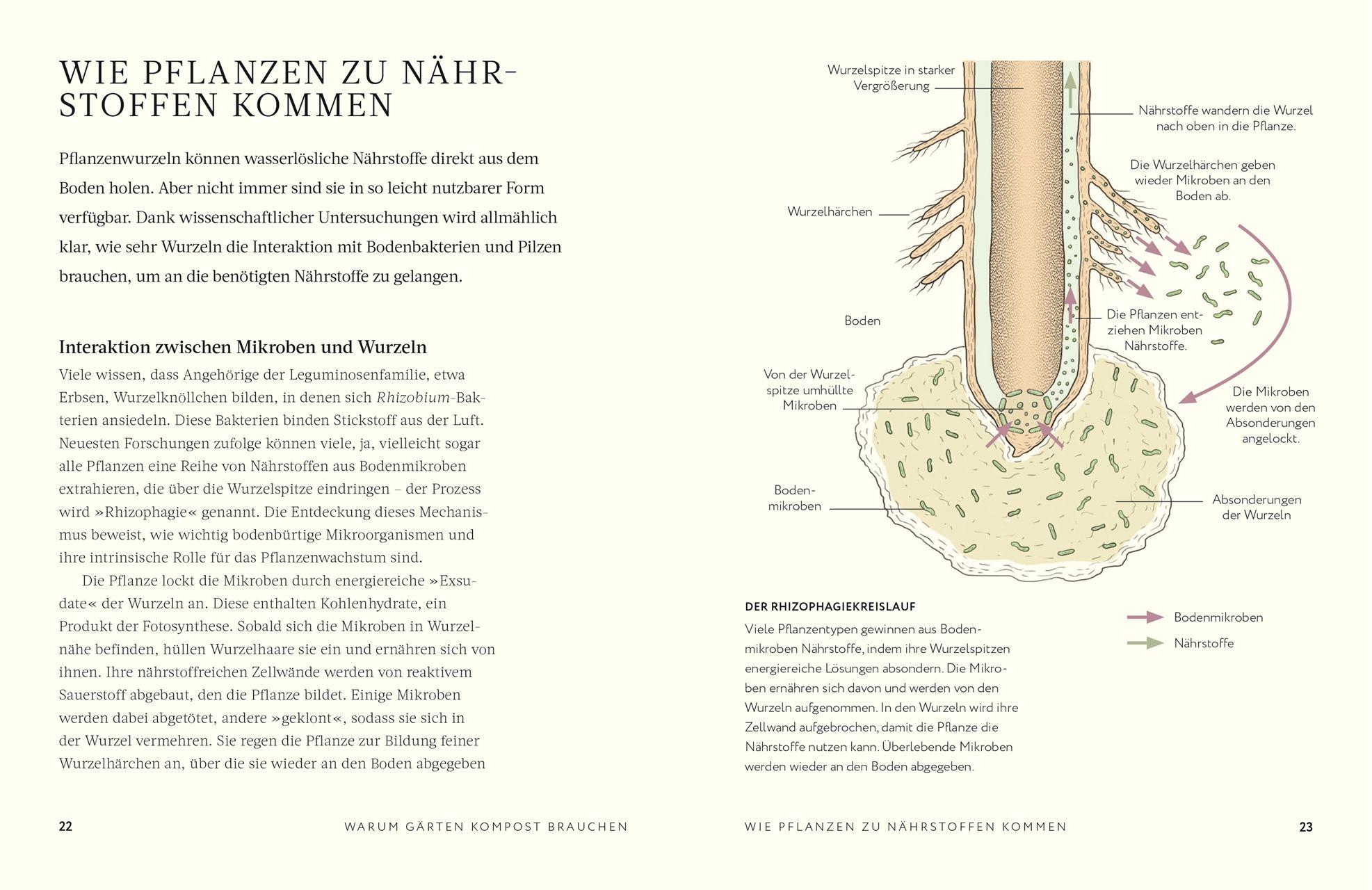 Beispielinhalt (Bild) Kompost