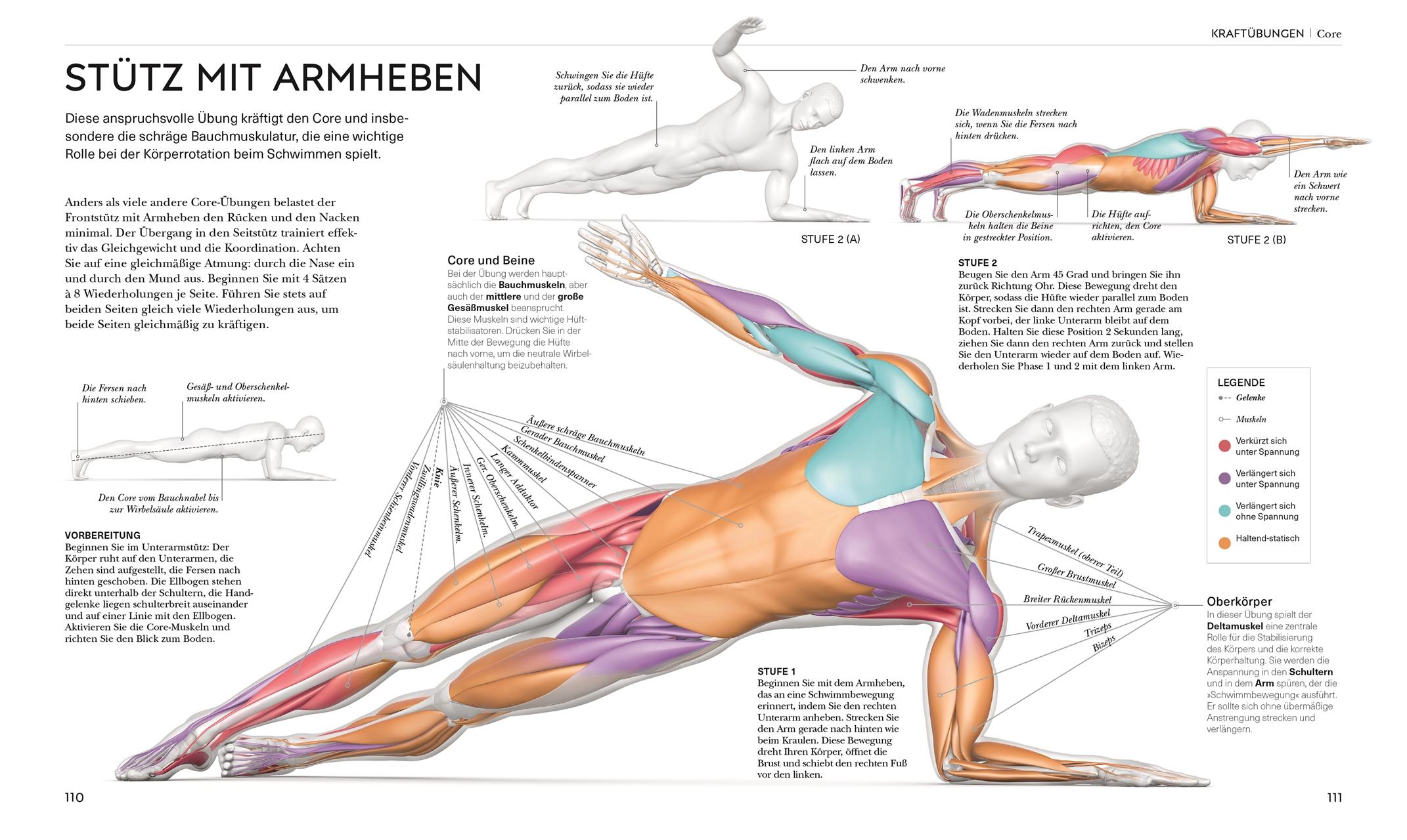 Beispielinhalt (Bild) Schwimmen - Die Anatomie verstehen