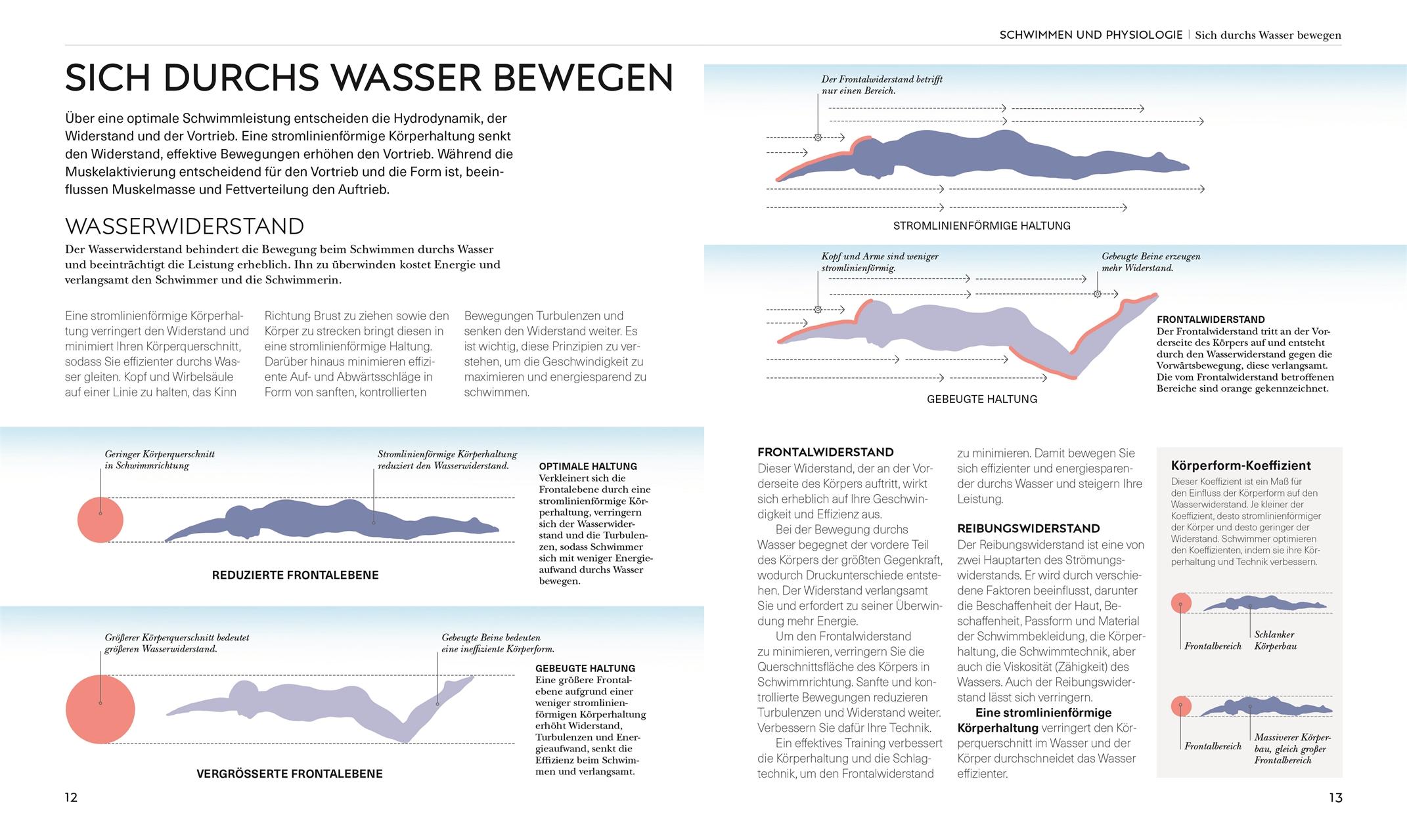 Beispielinhalt (Bild) Schwimmen - Die Anatomie verstehen