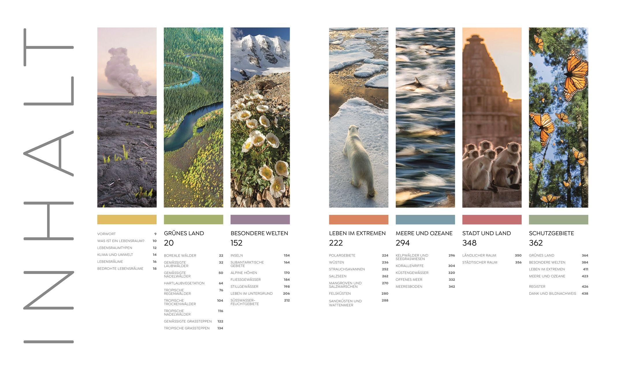 Beispielinhalt (Bild) Wilde Welten