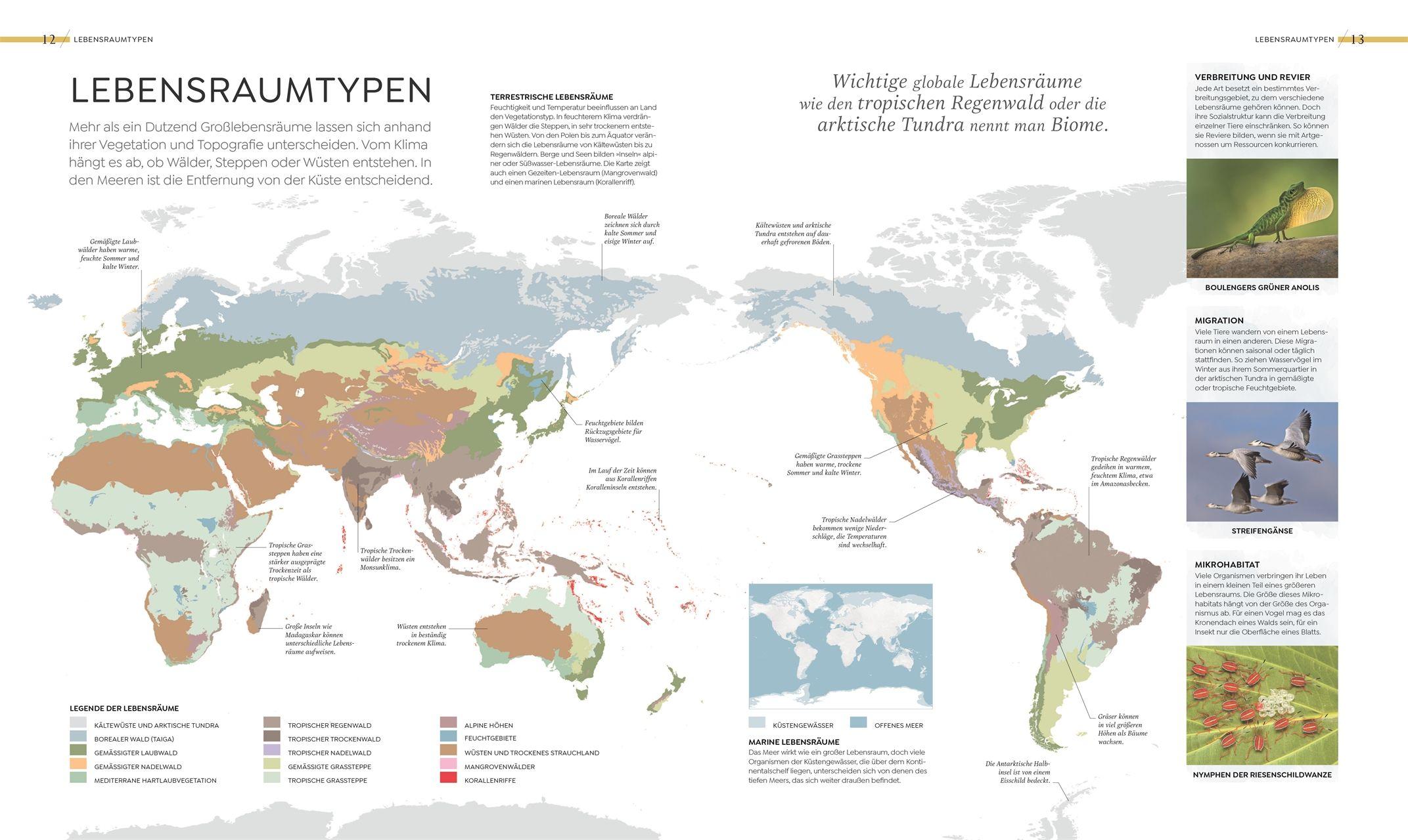 Beispielinhalt (Bild) Wilde Welten
