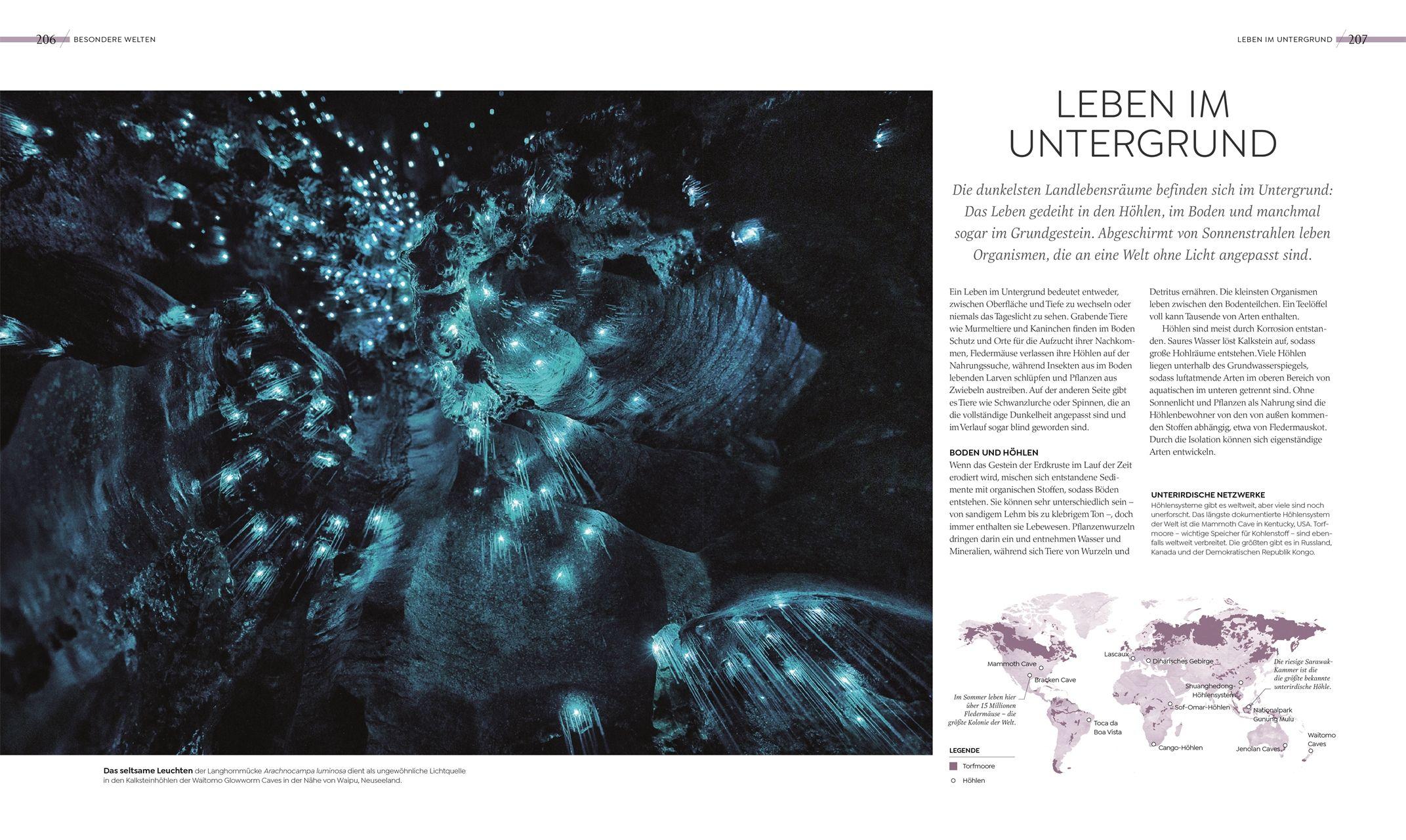 Beispielinhalt (Bild) Wilde Welten