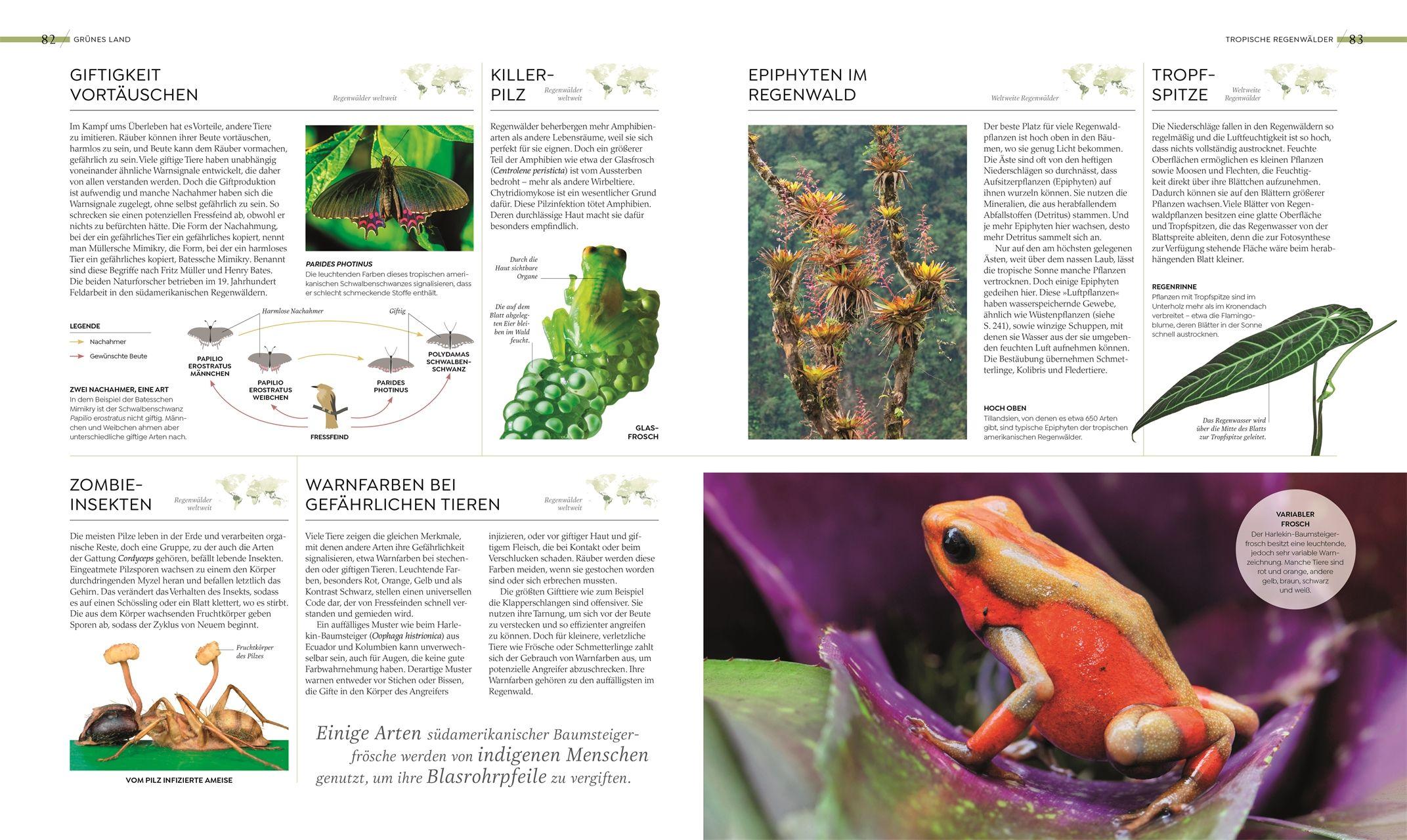 Beispielinhalt (Bild) Wilde Welten