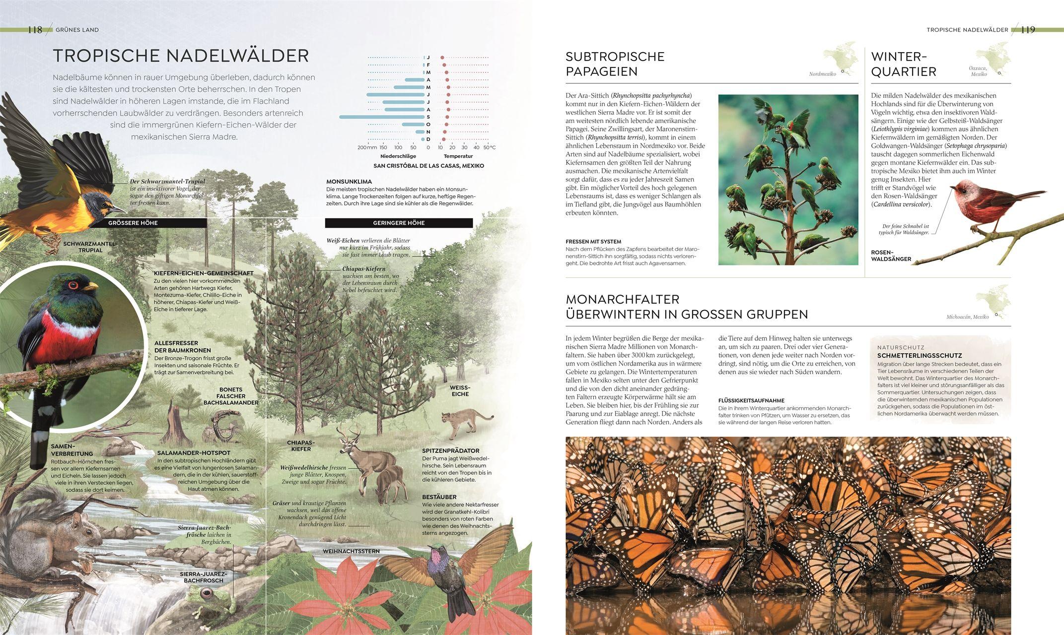 Beispielinhalt (Bild) Wilde Welten