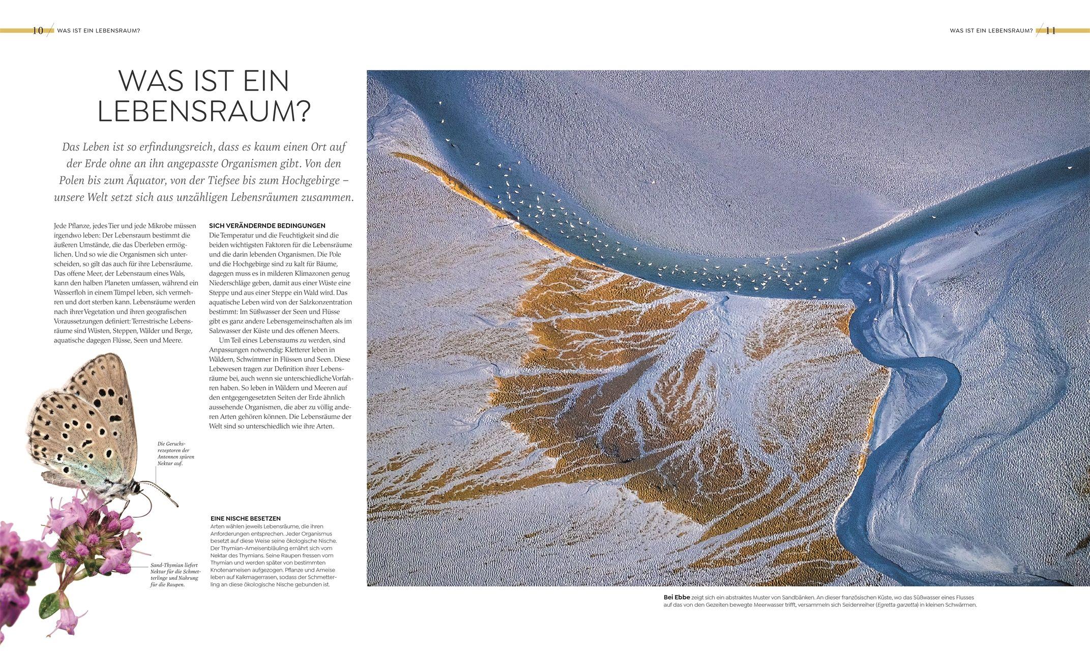 Beispielinhalt (Bild) Wilde Welten