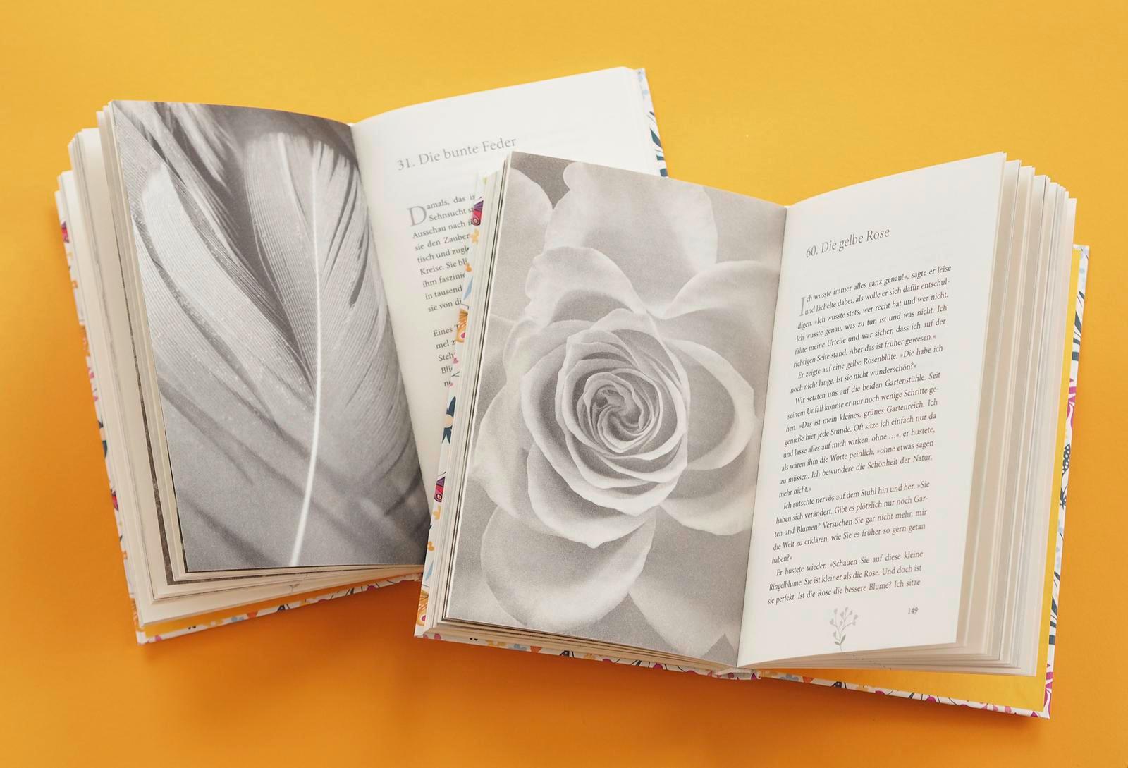 Beispielinhalt (Bild) 77 mal Leichtigkeit