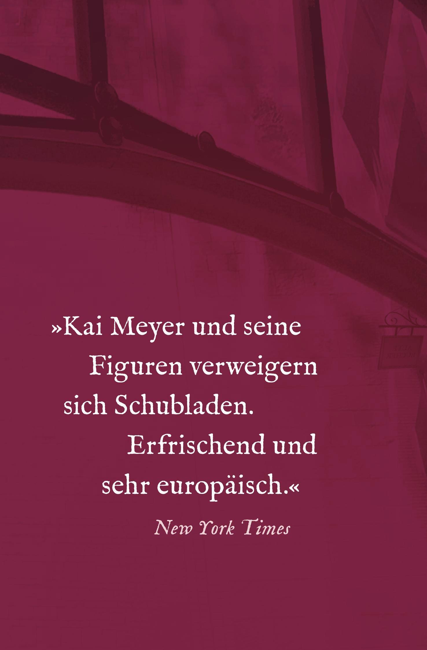 Beispielinhalt (Bild) Die Bücher, der Junge und die Nacht