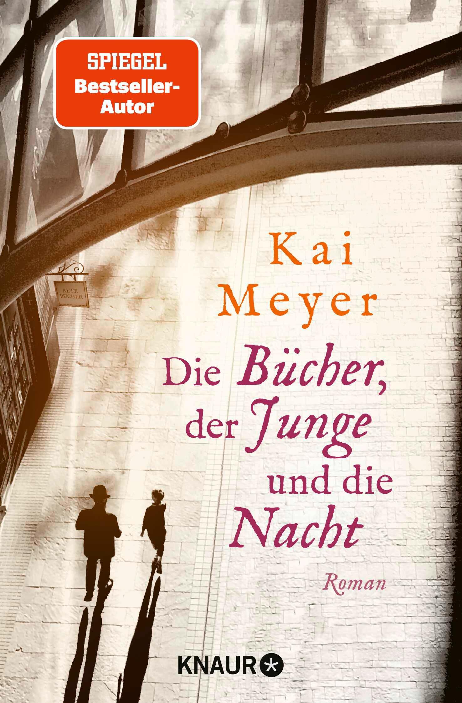 Vorderes Coverbild Die Bücher, der Junge und die Nacht