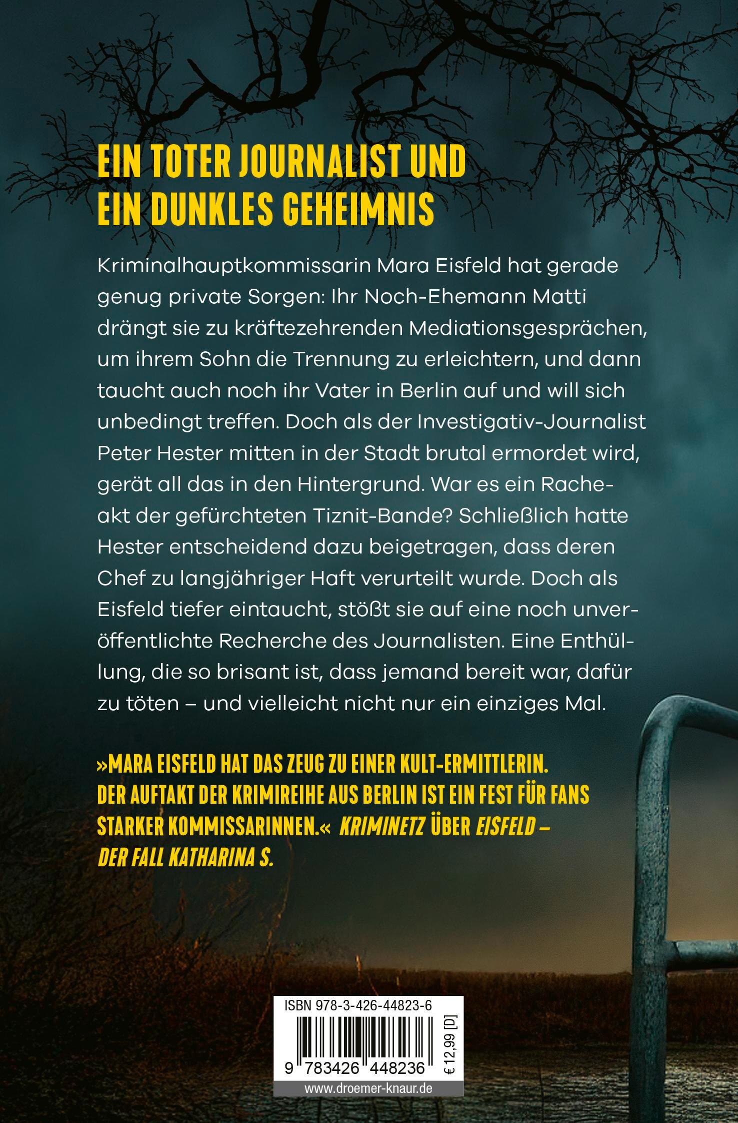 Rückseitencover Eisfeld - Dunkle Enthüllungen