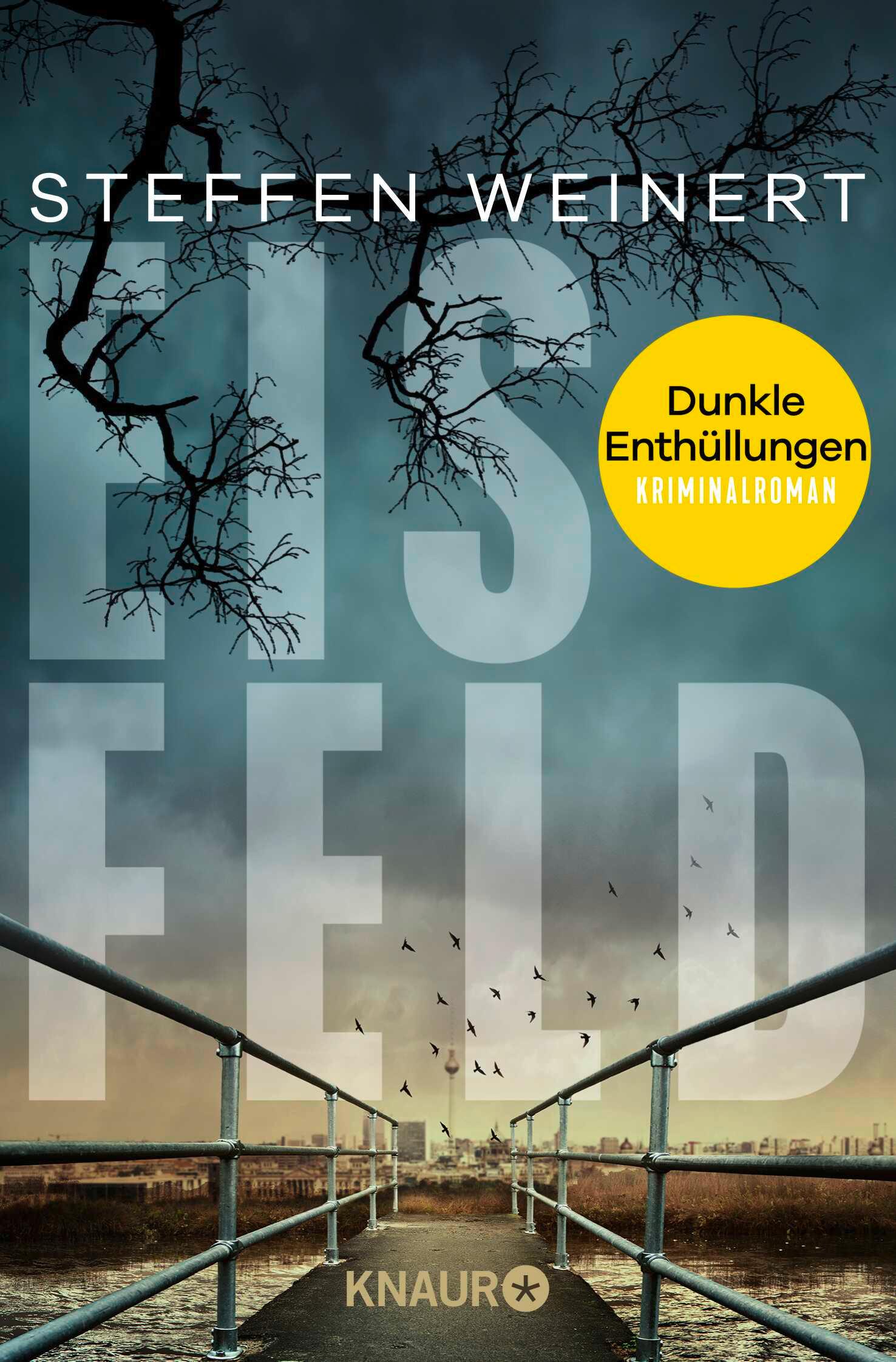 Vorderes Coverbild Eisfeld - Dunkle Enthüllungen