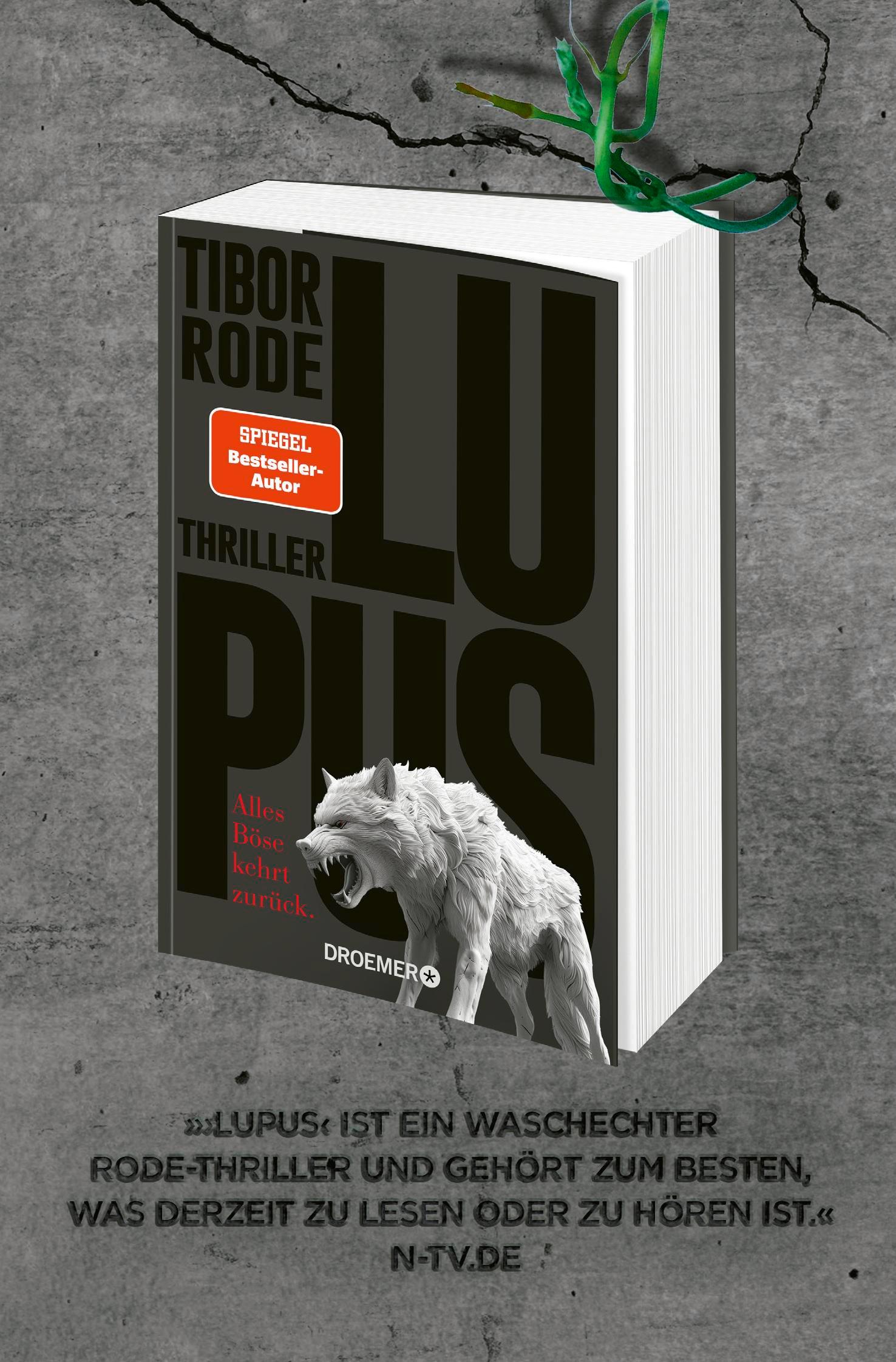 Beispielinhalt (Bild) Der Wald