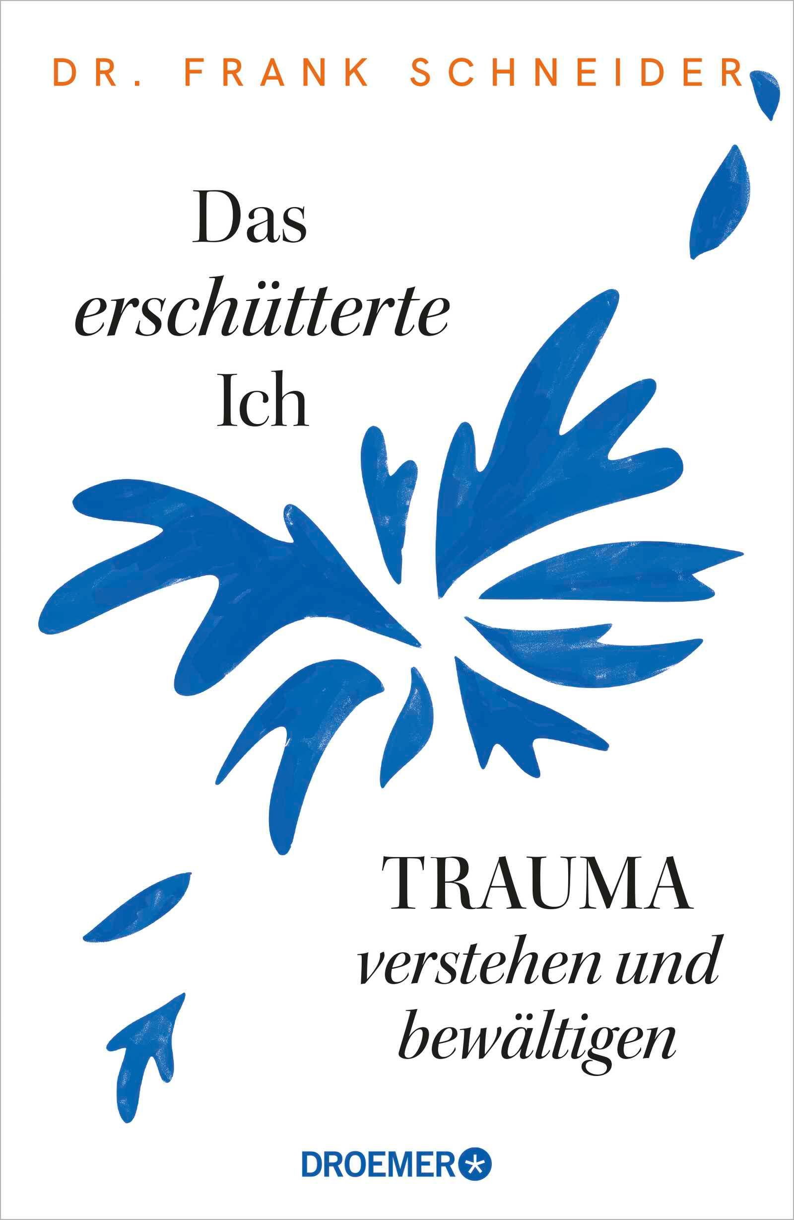 Vorderes Coverbild Das erschütterte Ich