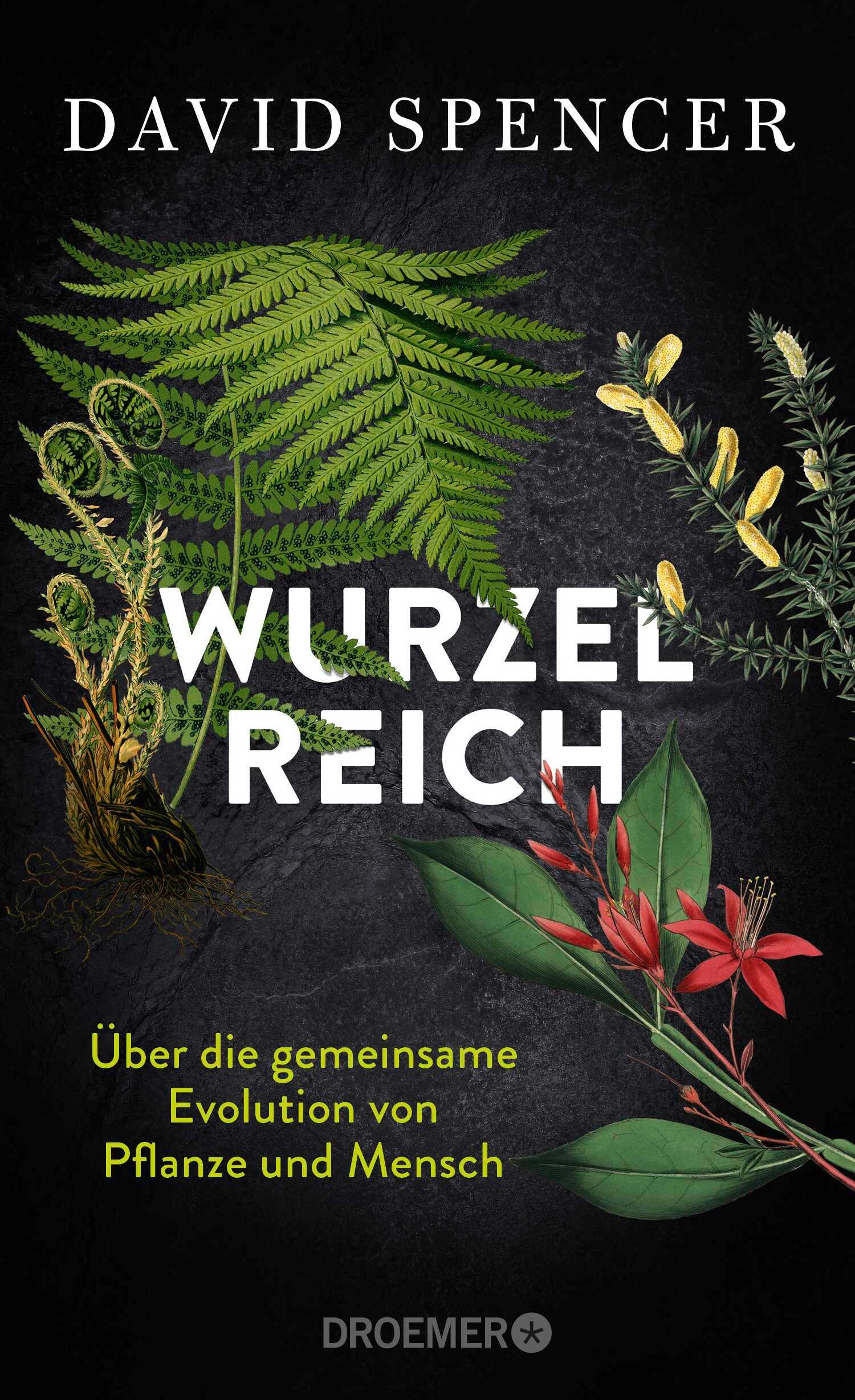 Vorderes Coverbild Wurzelreich