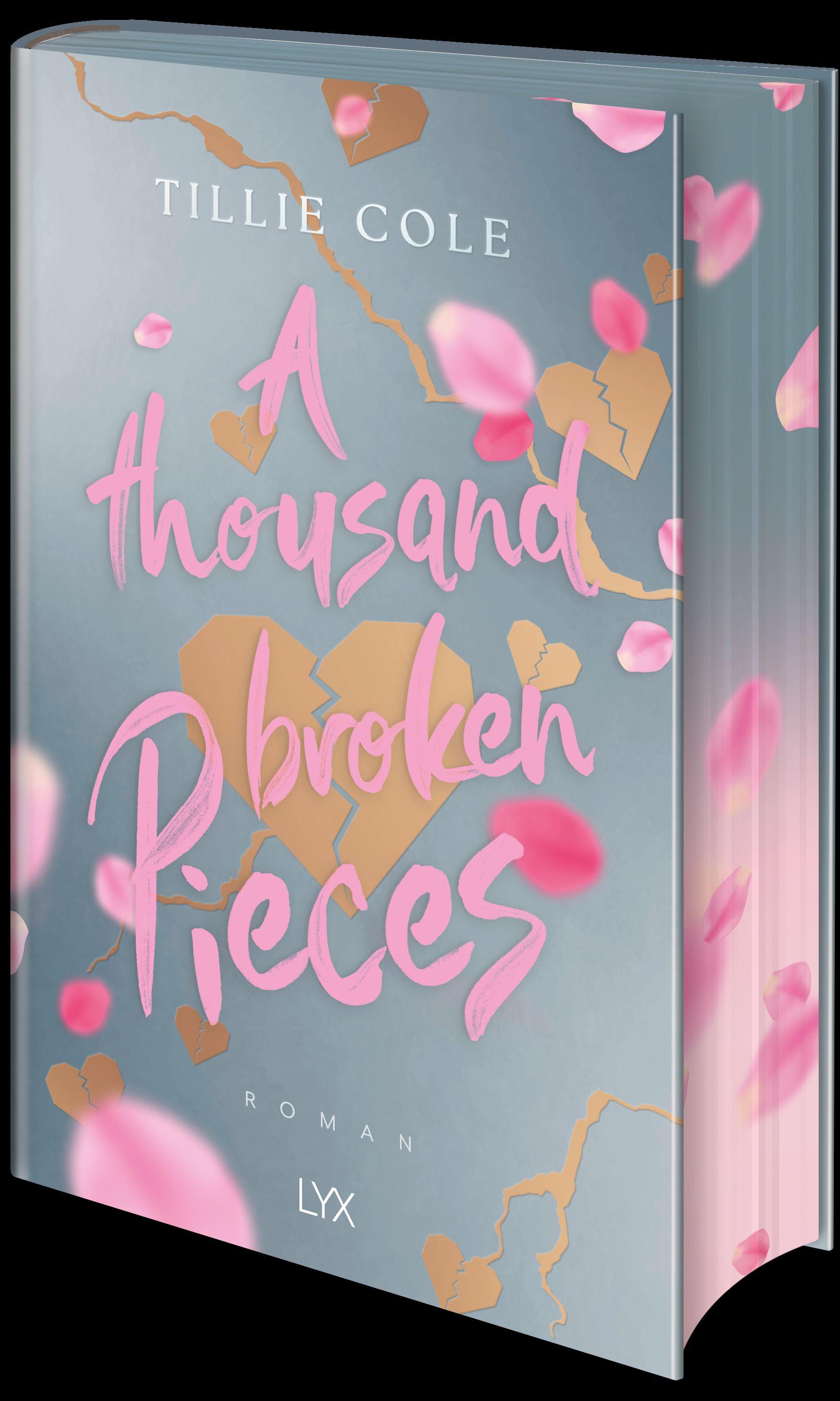 Vorderes Coverbild A Thousand Broken Pieces: Special Edition