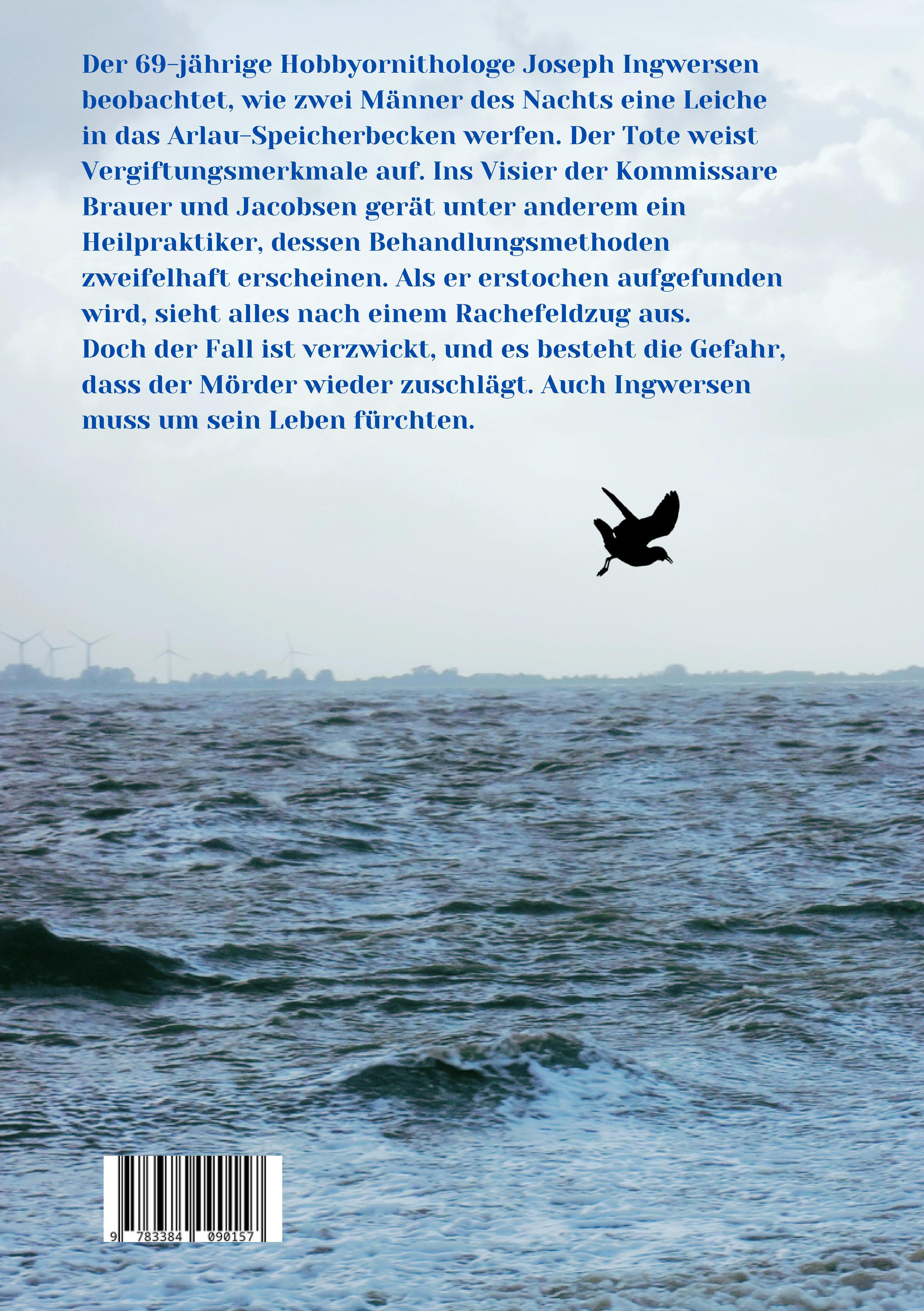 Rückseitencover Der Tote vom Beltringharder Koog