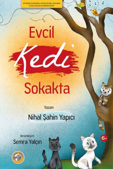 Vorderes Coverbild Evcil Kedi Sokakta
