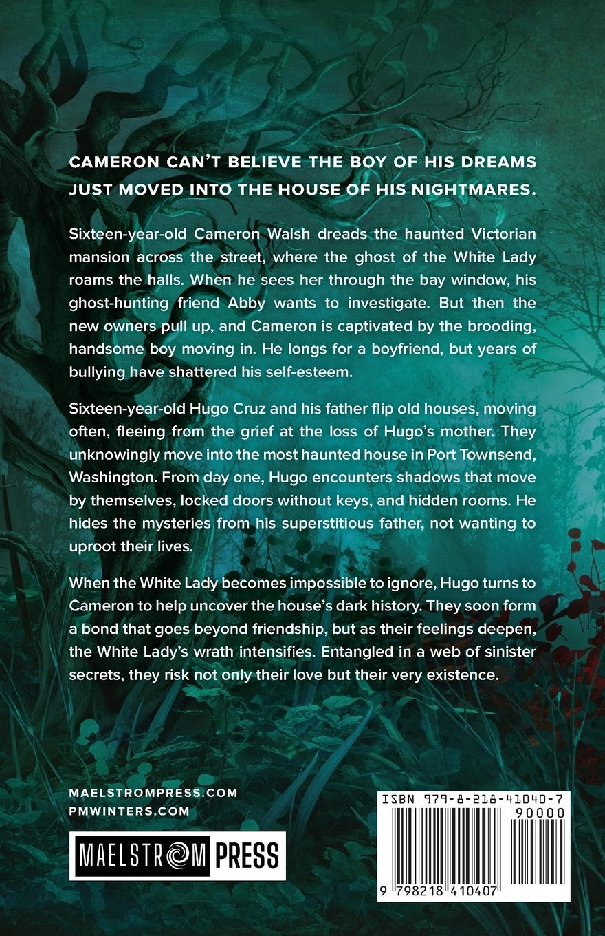 Rückseitencover The Haunting Between Us