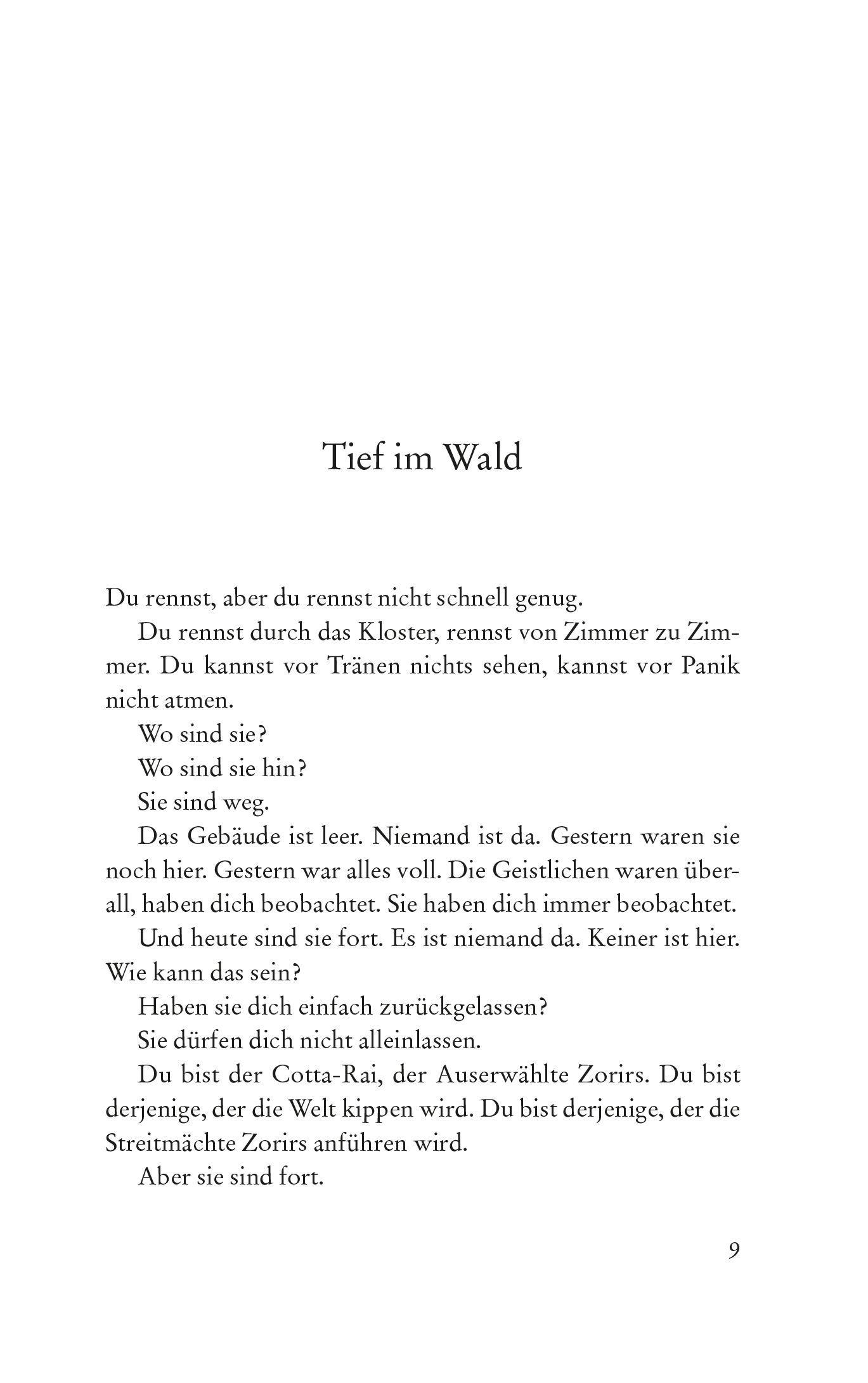 Beispielinhalt (Bild) Götter des Wyrdwood