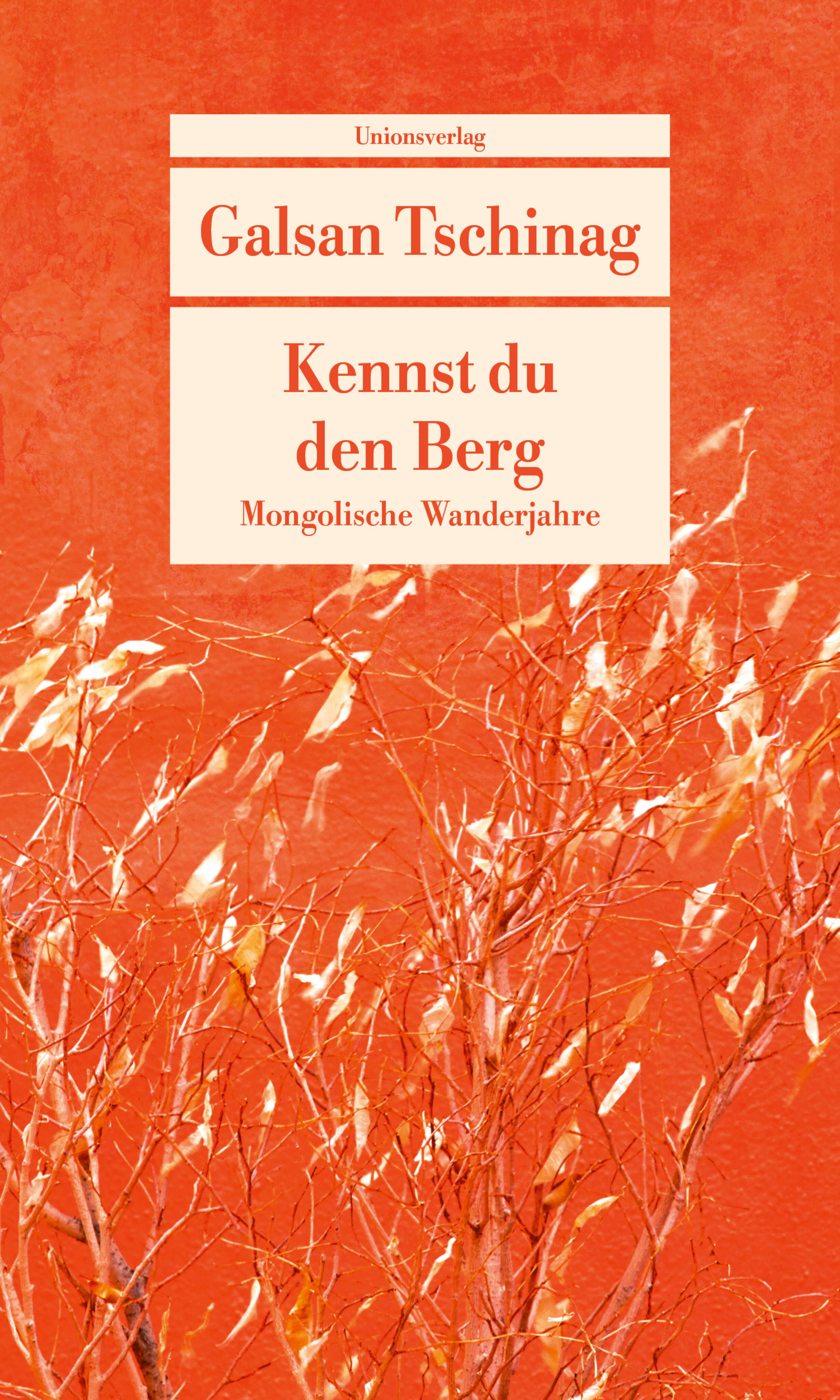 Vorderes Coverbild Kennst du den Berg