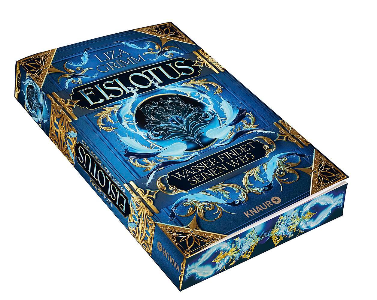 Beispielinhalt (Bild) Eislotus. Wasser findet seinen Weg