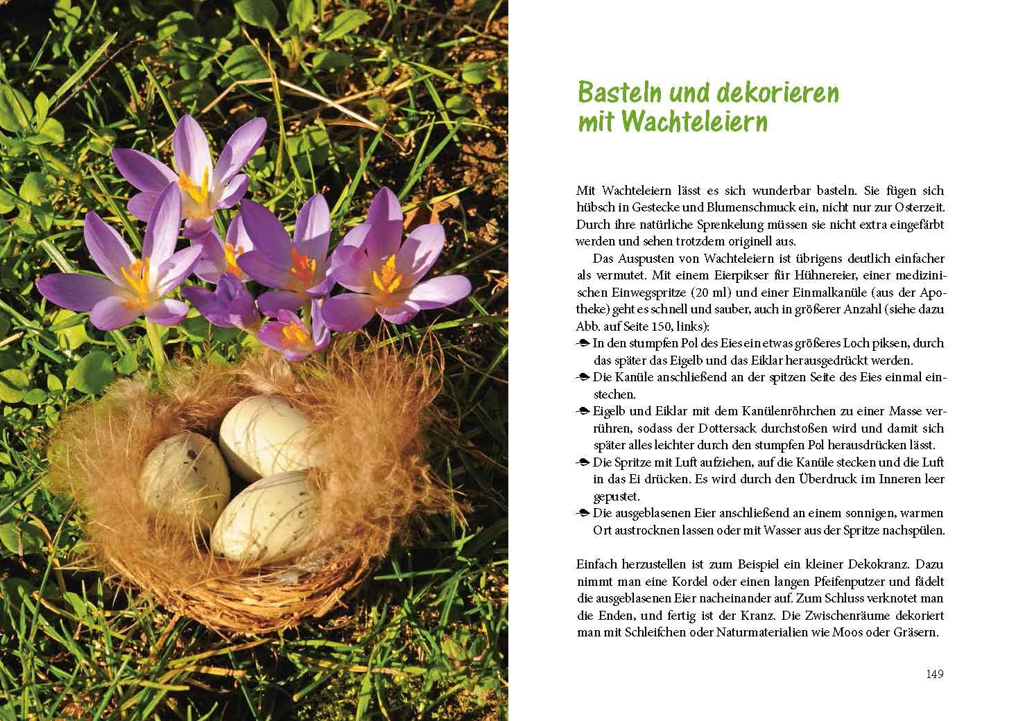 Beispielinhalt (Bild) Wachteln im Garten