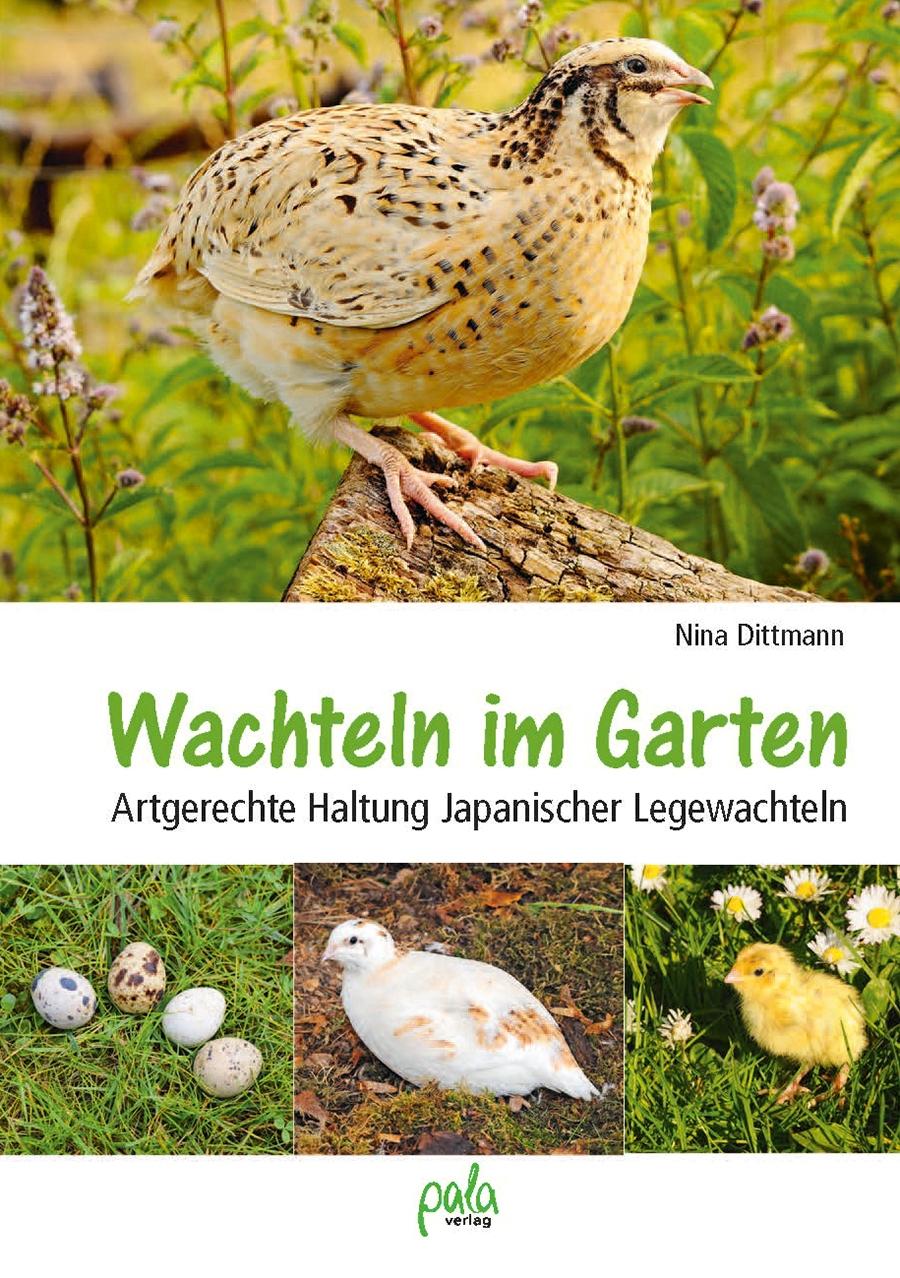 Vorderes Coverbild Wachteln im Garten