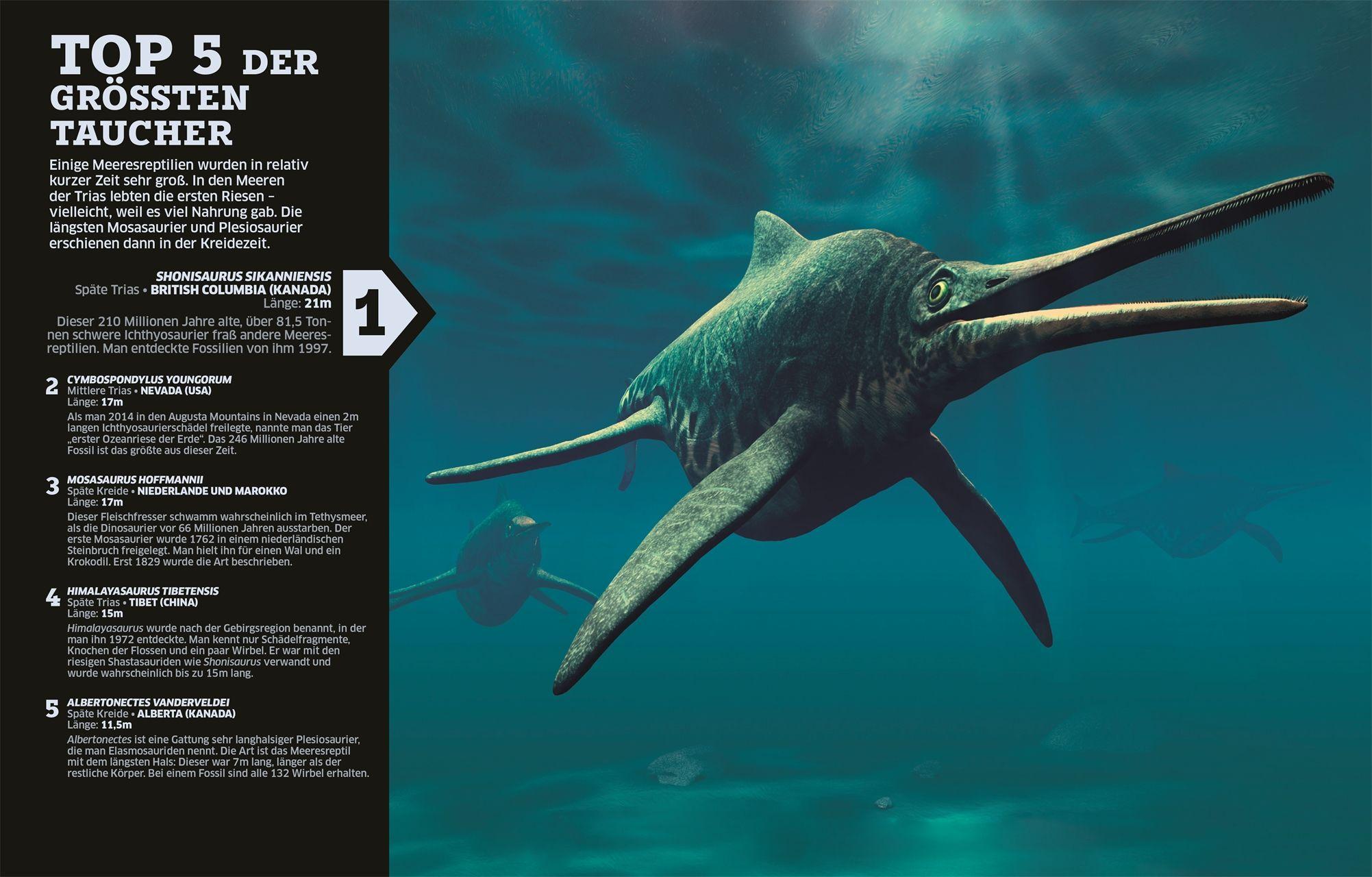 Beispielinhalt (Bild) Unsere Welt in Zahlen. Dinosaurier und andere Tiere der Urzeit