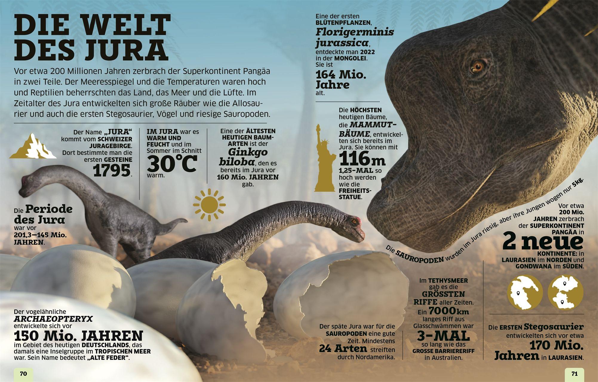 Beispielinhalt (Bild) Unsere Welt in Zahlen. Dinosaurier und andere Tiere der Urzeit