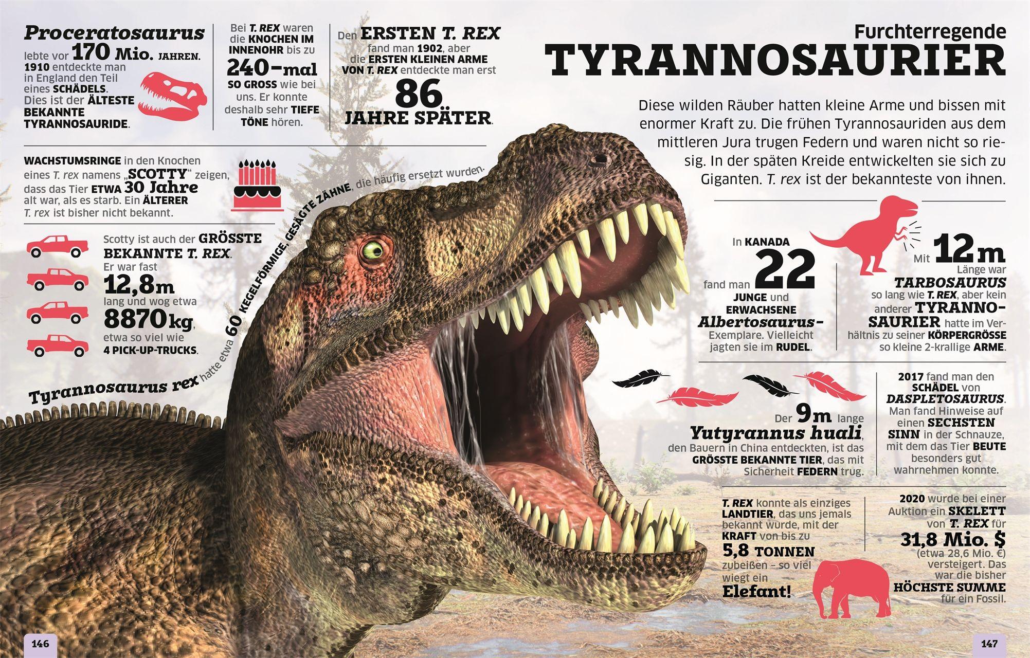Beispielinhalt (Bild) Unsere Welt in Zahlen. Dinosaurier und andere Tiere der Urzeit