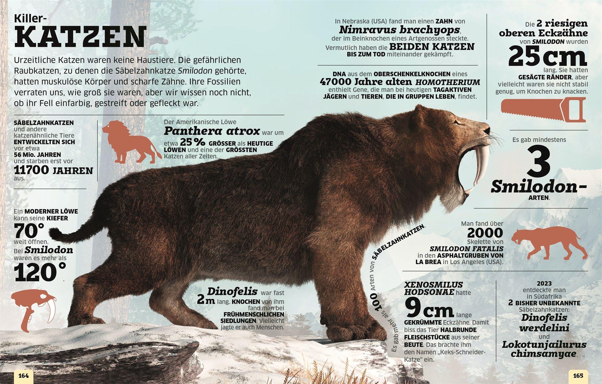 Beispielinhalt (Bild) Unsere Welt in Zahlen. Dinosaurier und andere Tiere der Urzeit