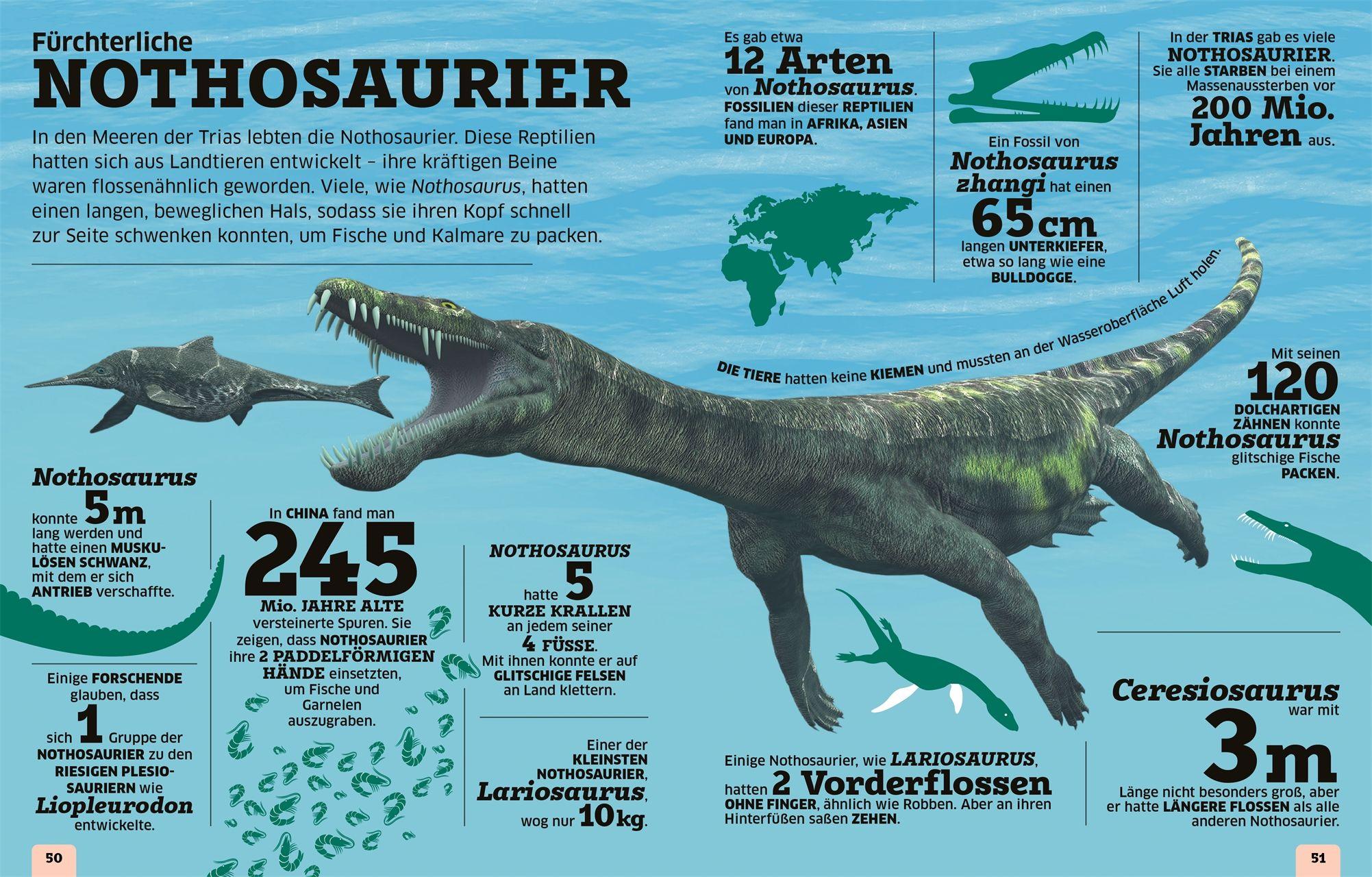 Beispielinhalt (Bild) Unsere Welt in Zahlen. Dinosaurier und andere Tiere der Urzeit