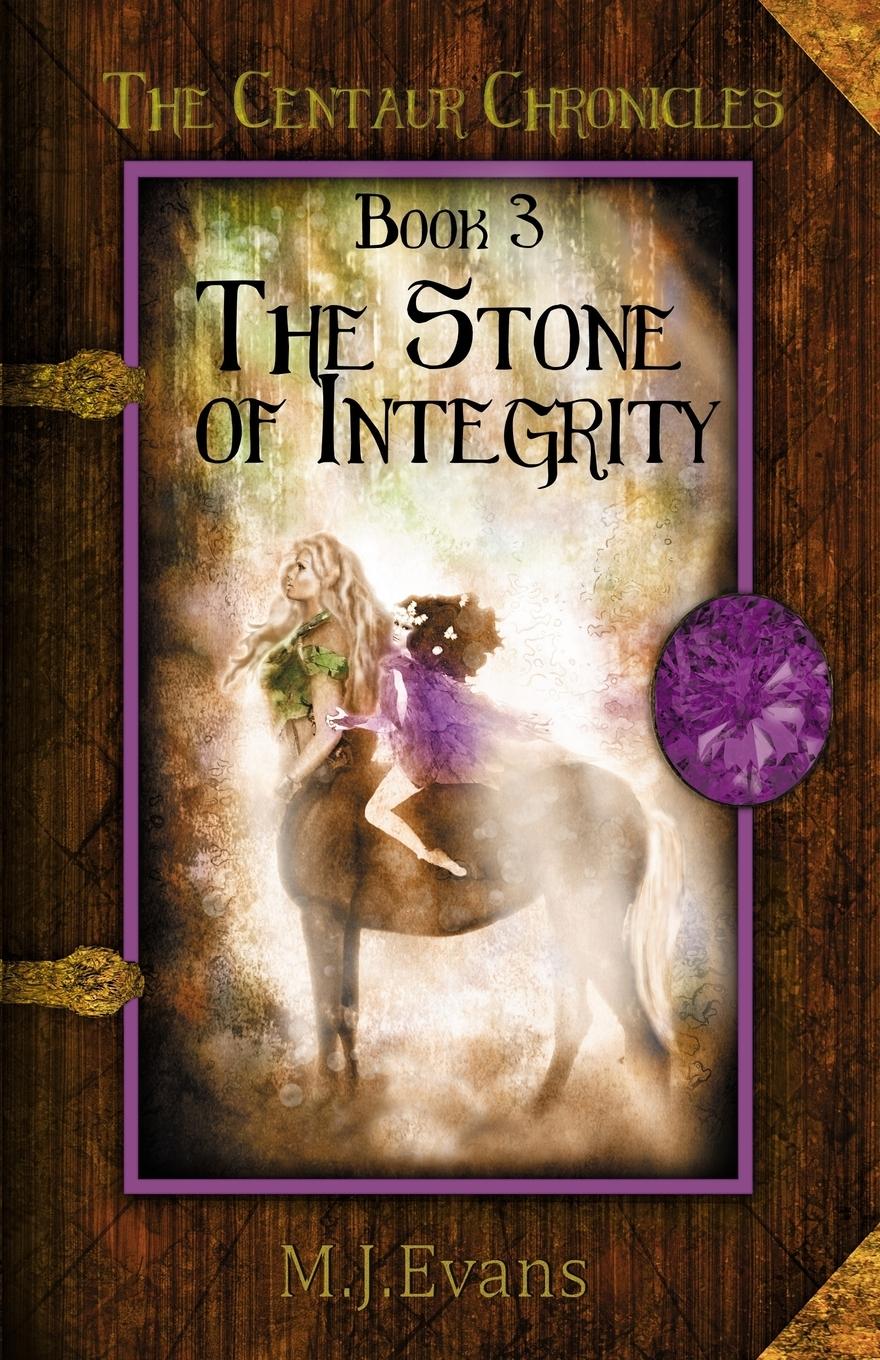 Vorderes Coverbild The Stone of Integrity