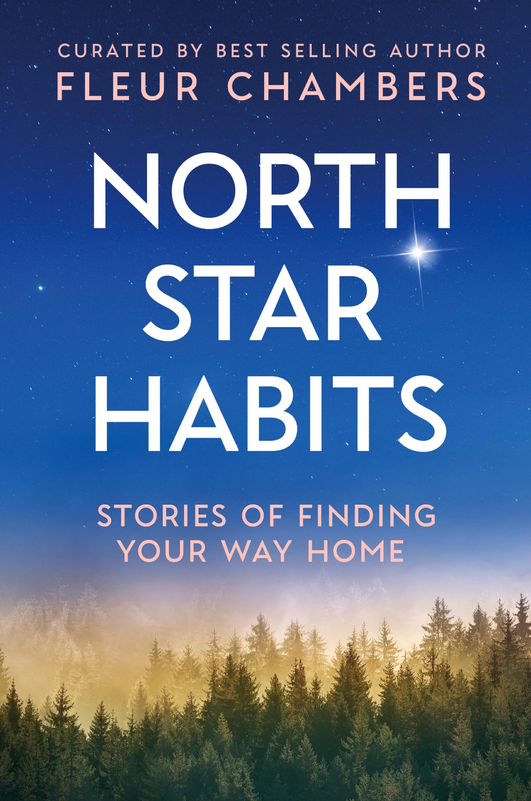 Vorderes Coverbild North Star Habits