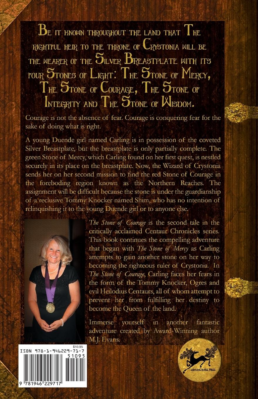 Rückseitencover The Stone of Courage