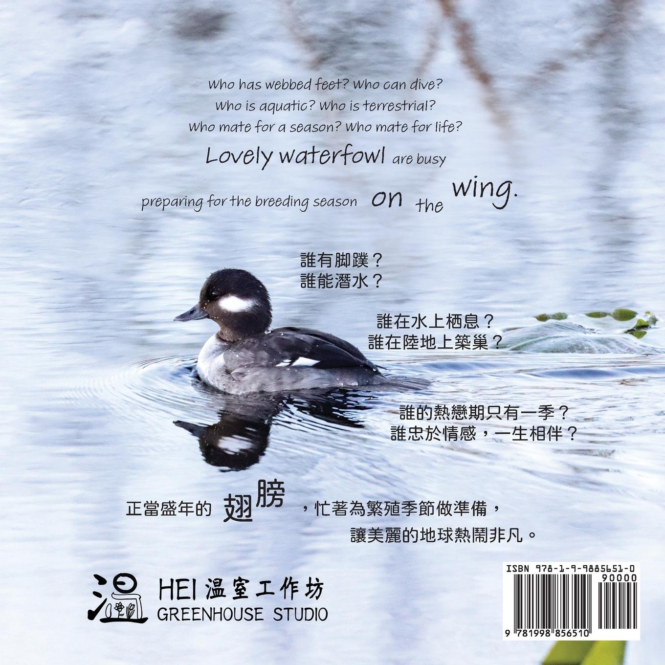 Rückseitencover On the Wing ¿¿ - North American Birds 6