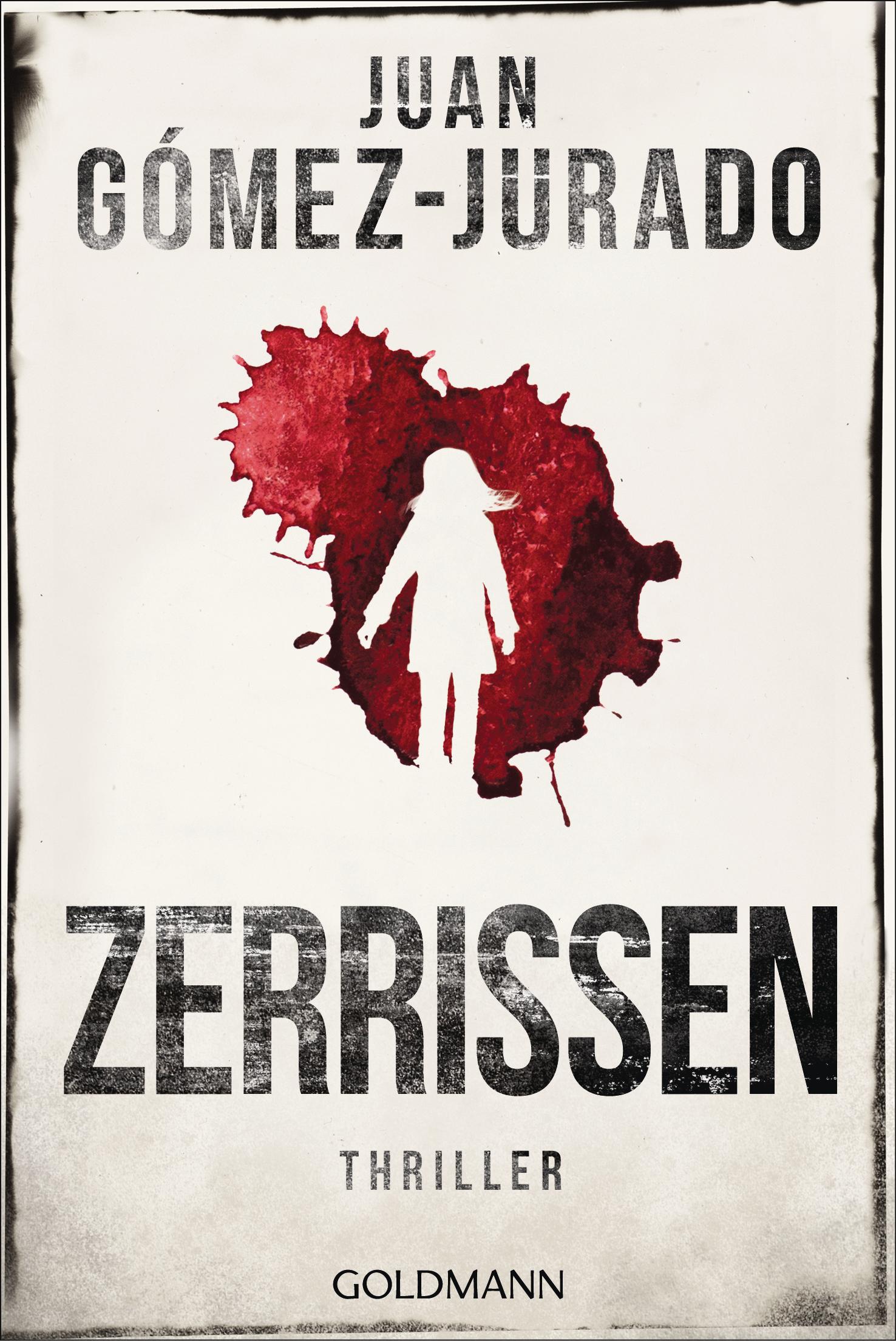 Vorderes Coverbild Zerrissen