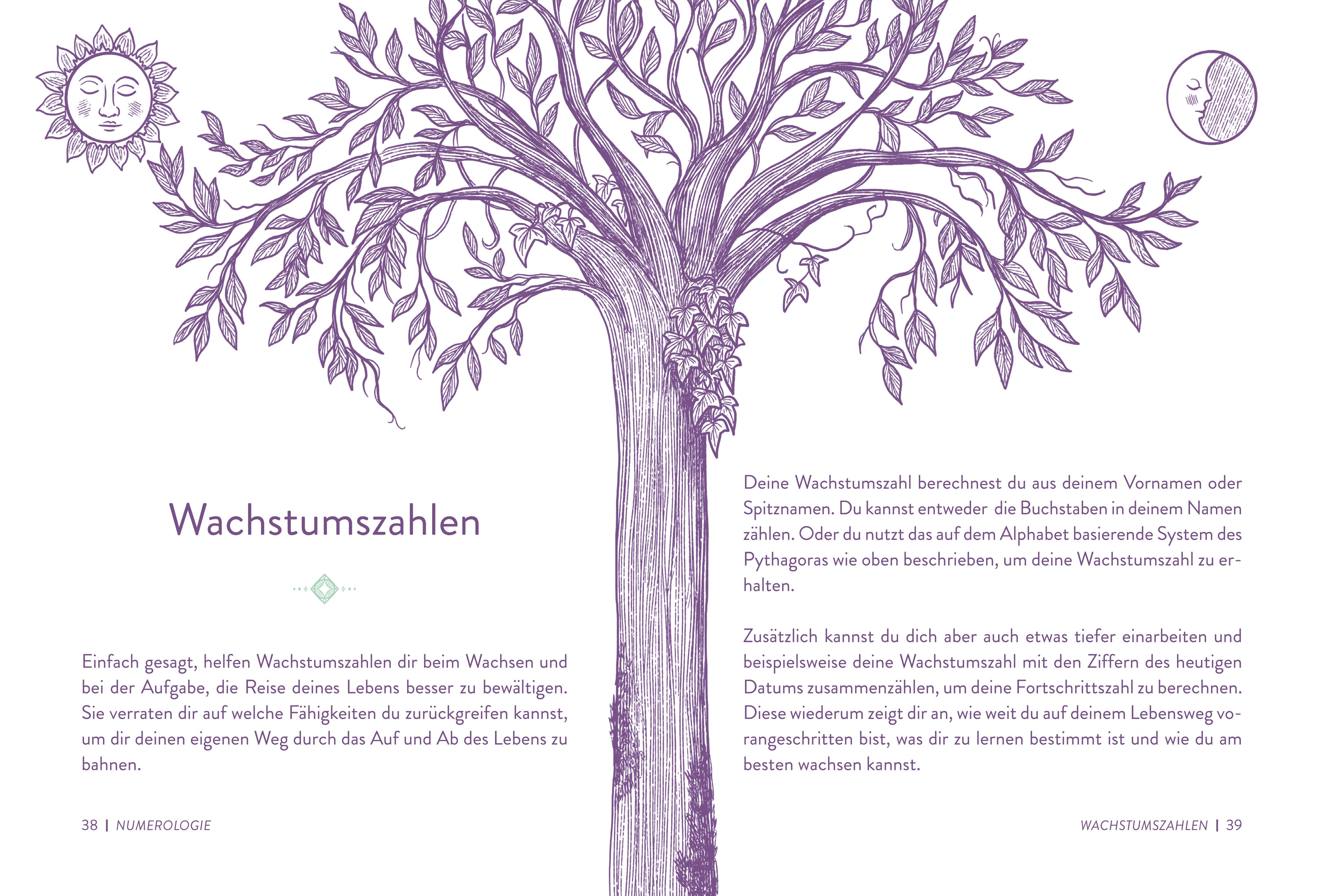 Beispielinhalt (Bild) Numerologie