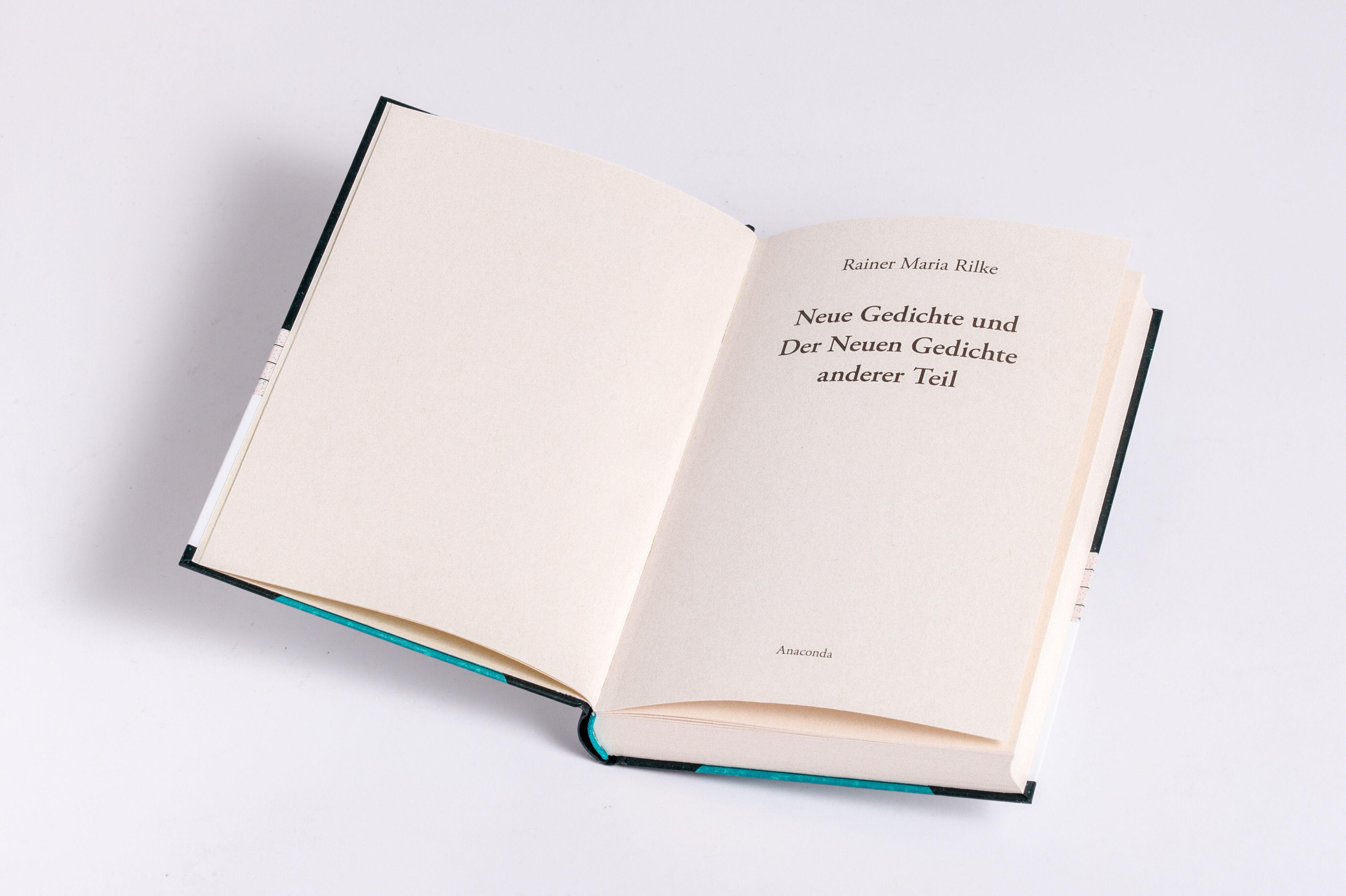 Beispielinhalt (Bild) Rilke - Neue Gedichte Teil I und II