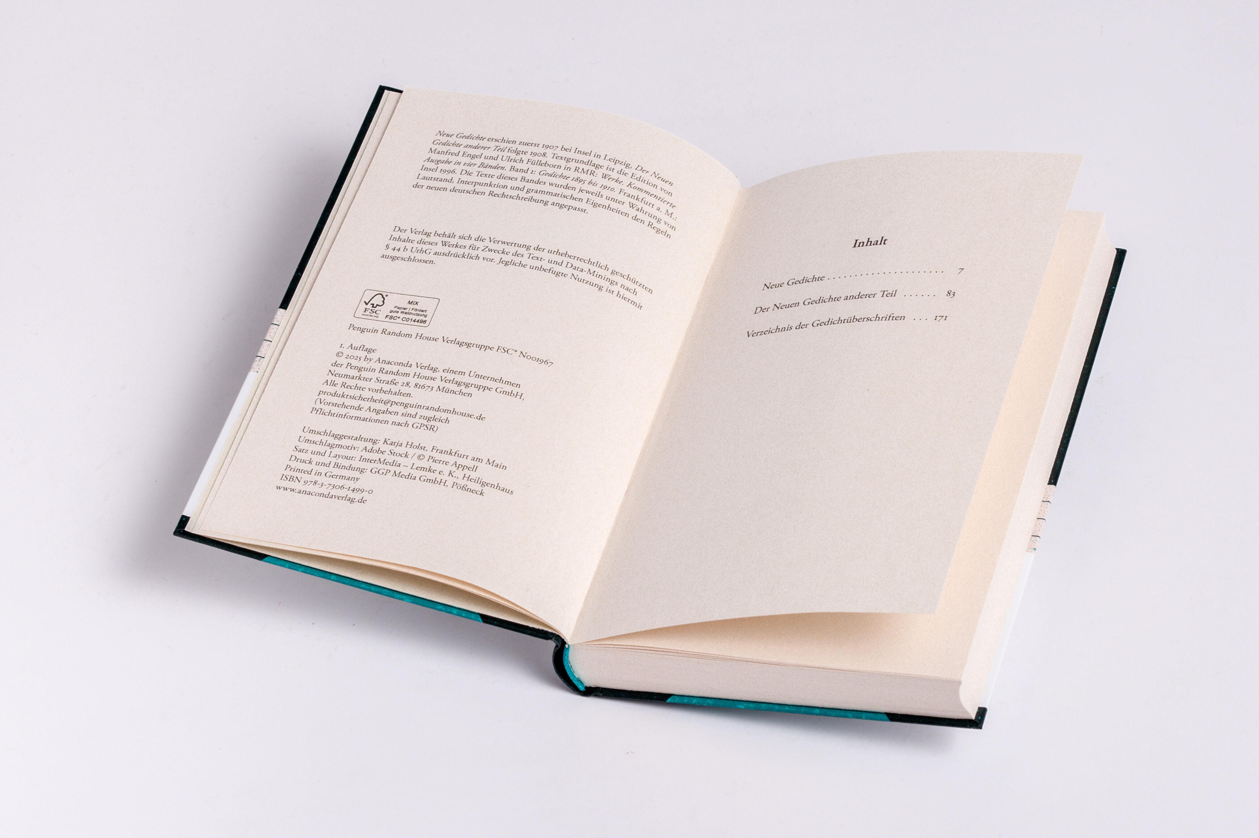 Beispielinhalt (Bild) Rilke - Neue Gedichte Teil I und II