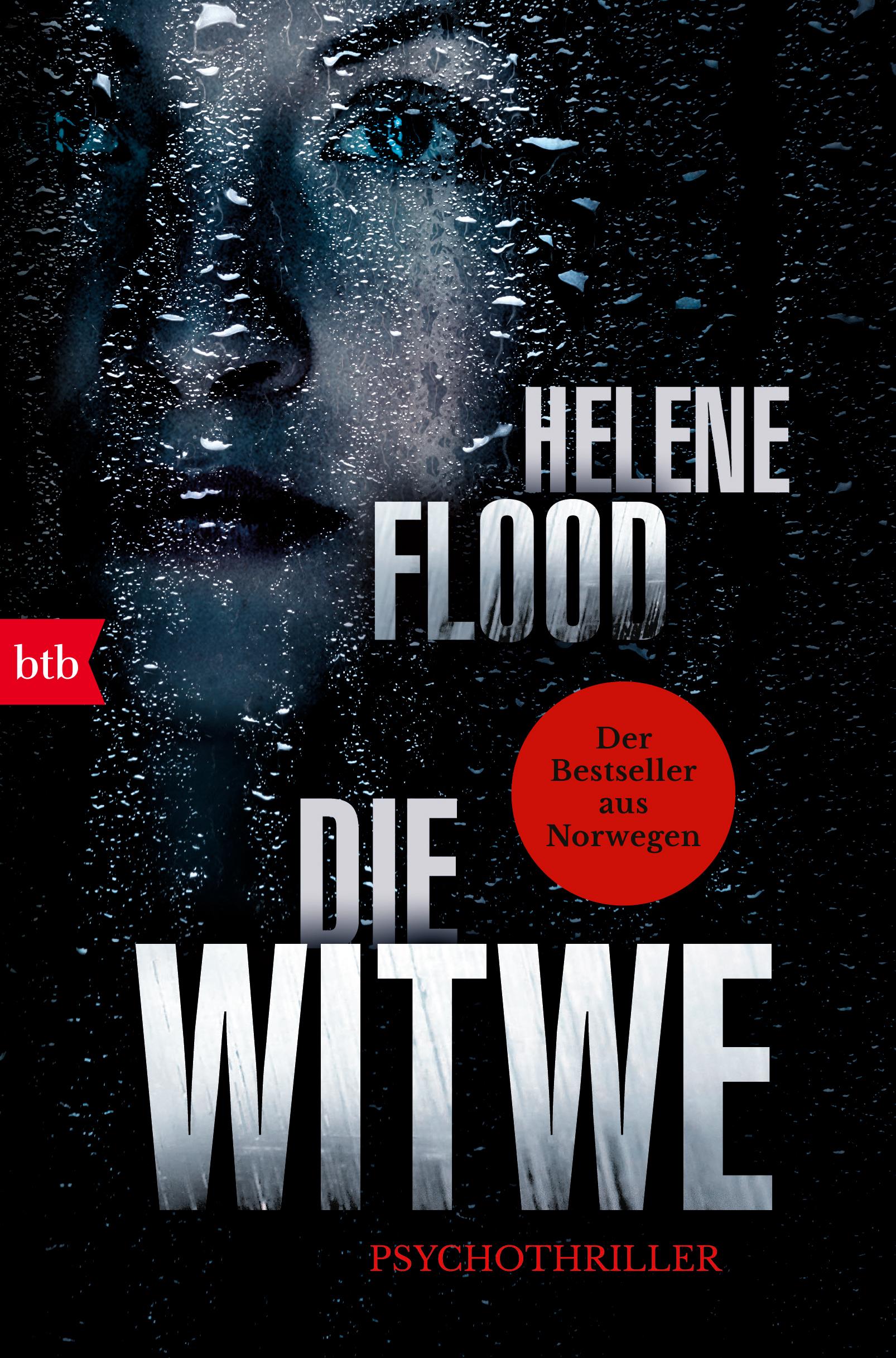 Vorderes Coverbild Die Witwe