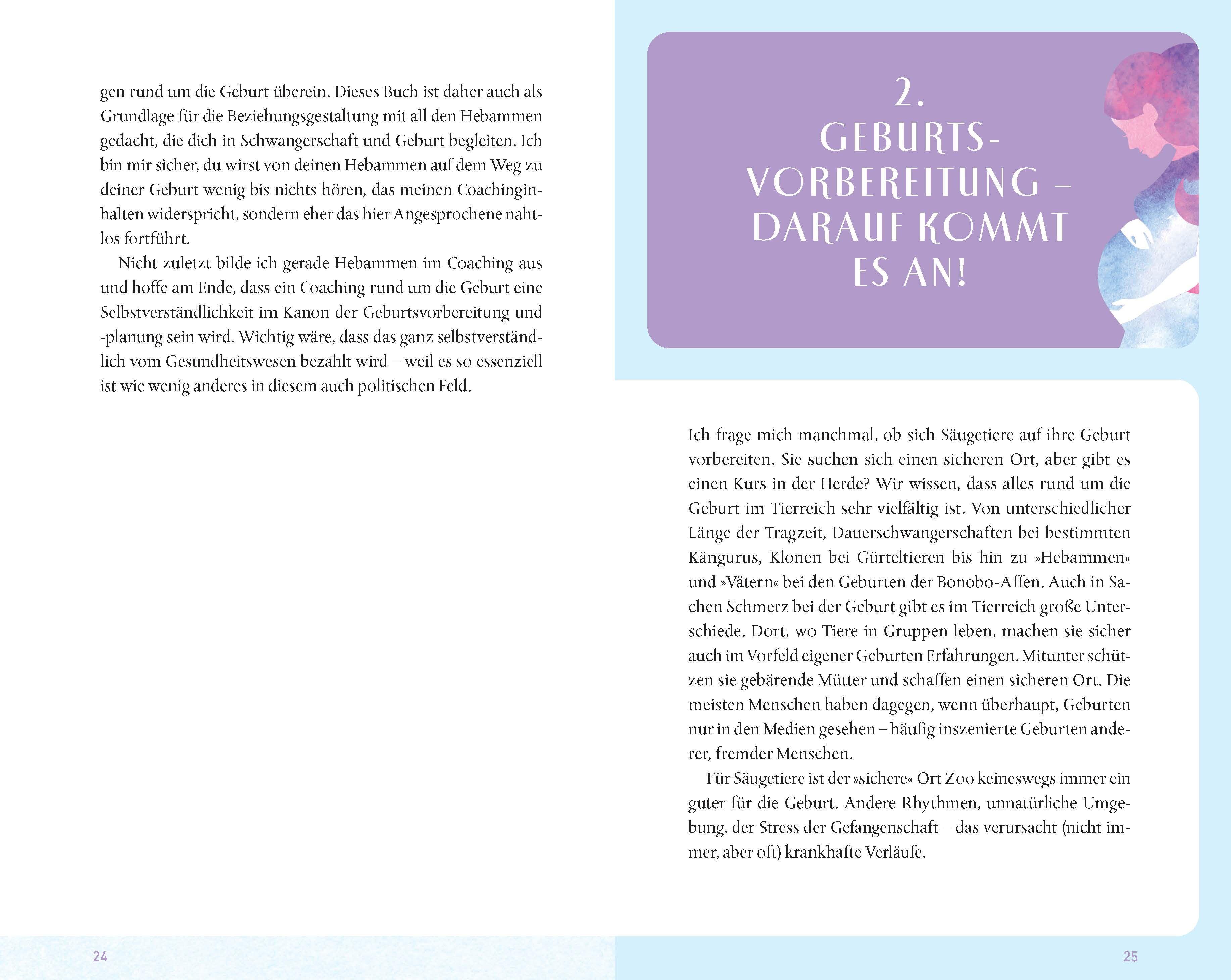 Beispielinhalt (Bild) Dein Geburtscoach