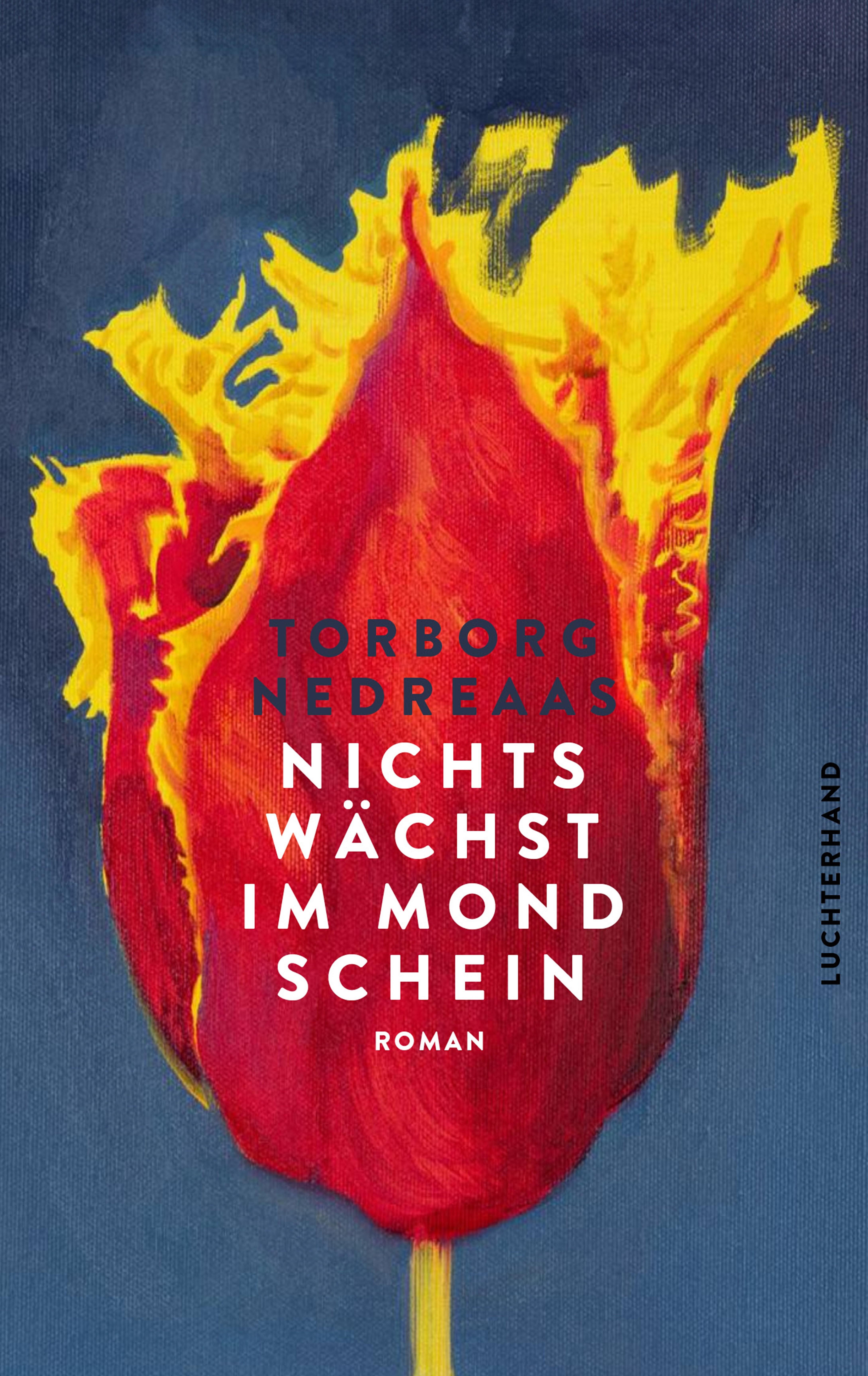 Vorderes Coverbild Nichts wächst im Mondschein