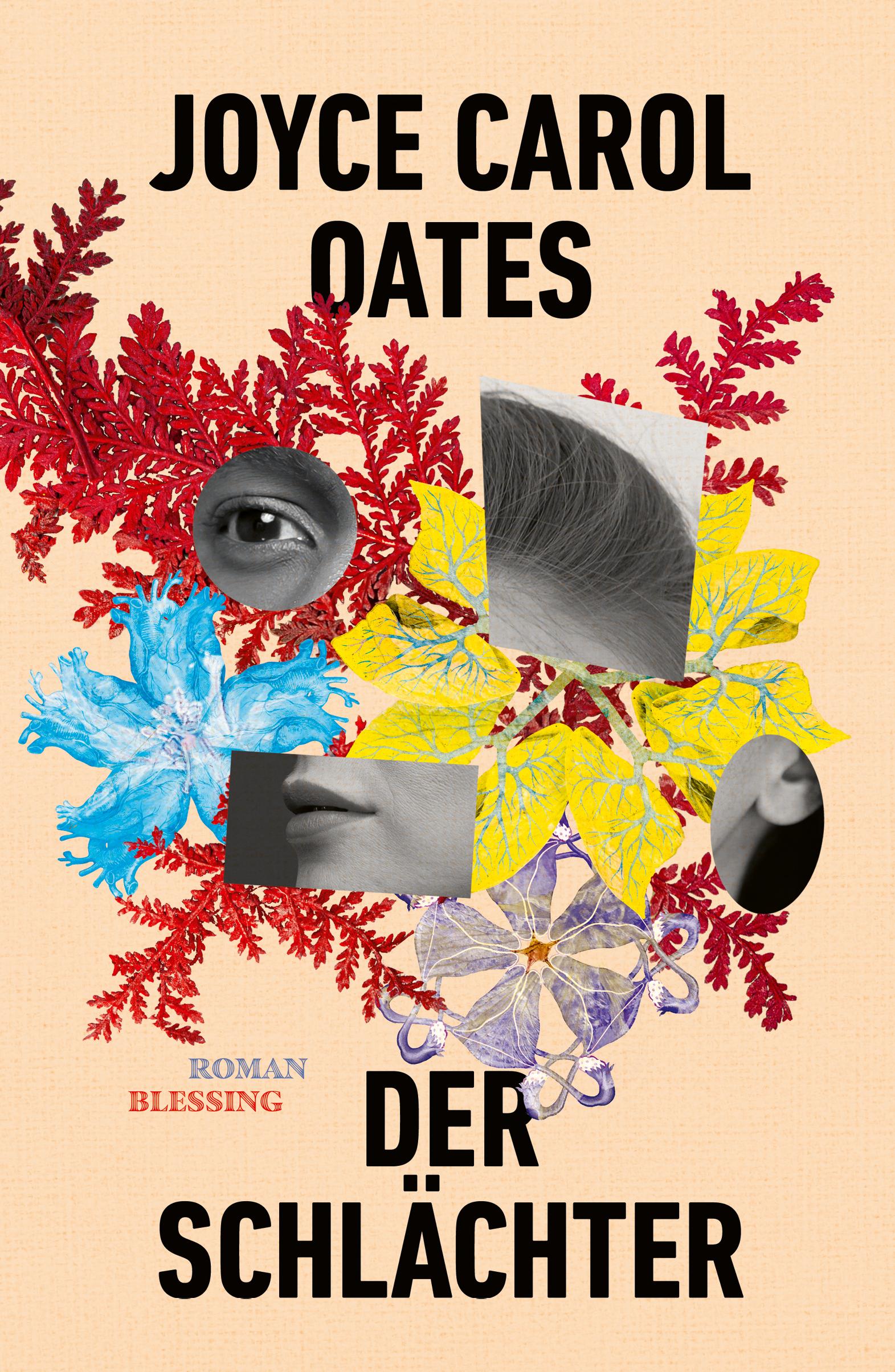 Vorderes Coverbild Der Schlächter