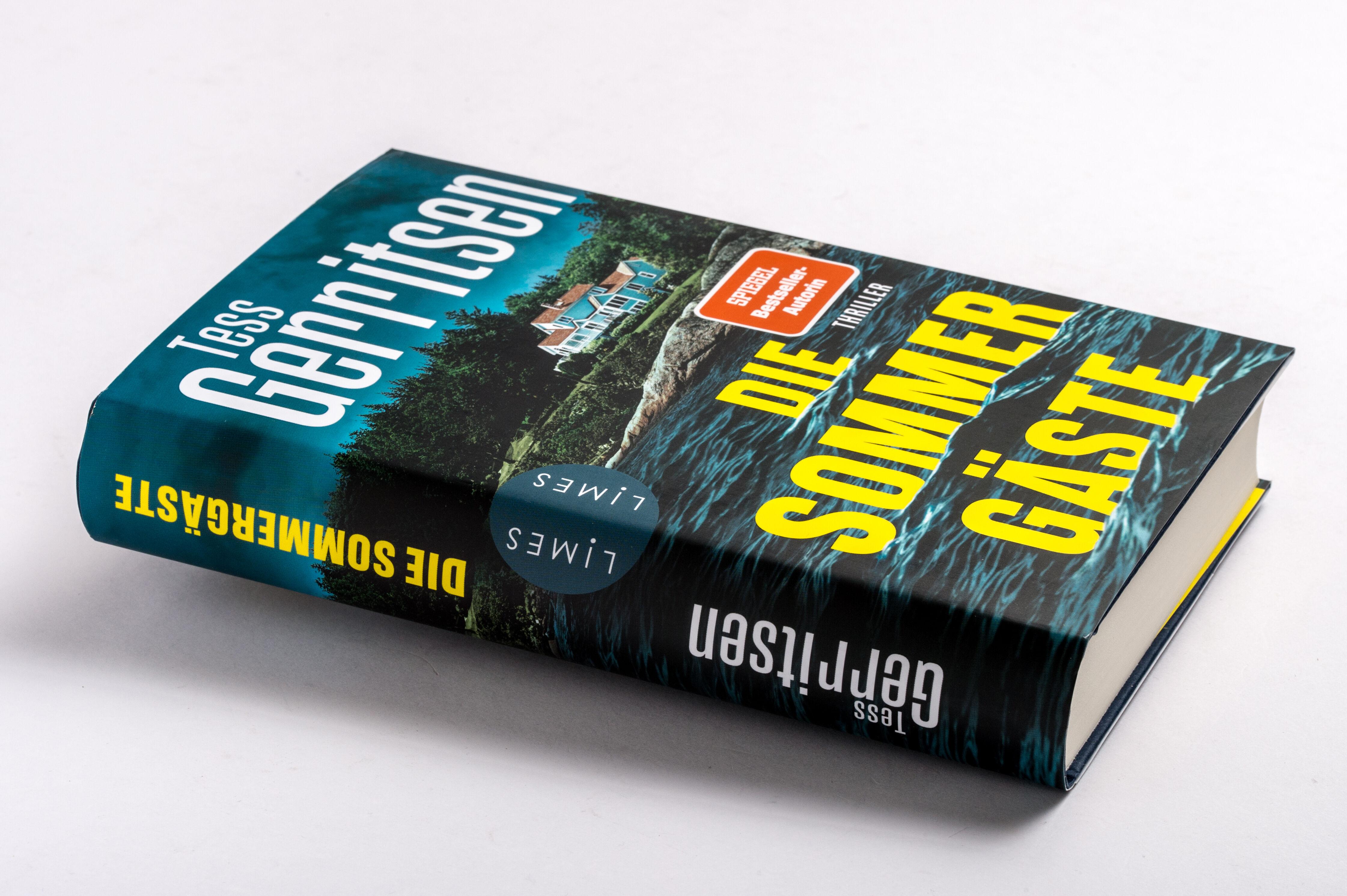 Beispielinhalt (Bild) Die Sommergäste