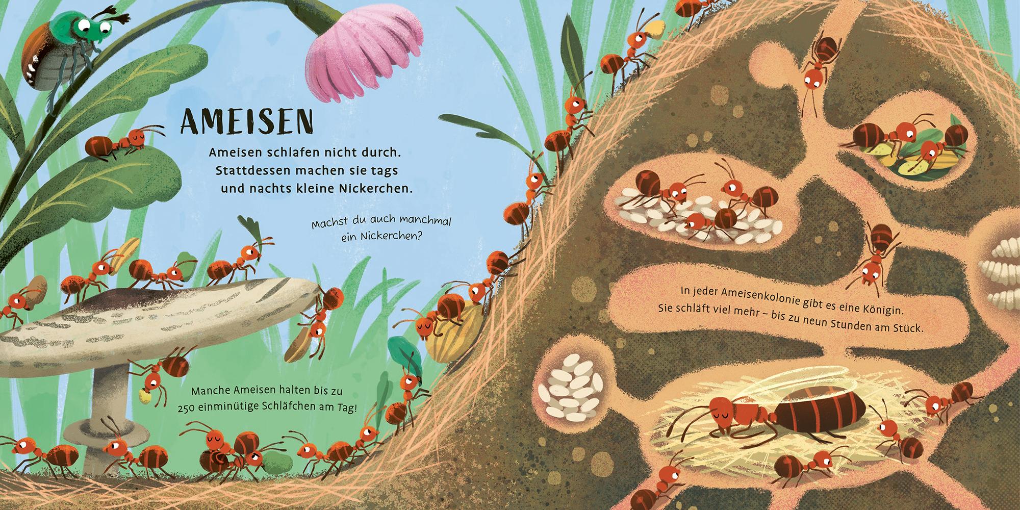 Beispielinhalt (Bild) Zeit zu schlafen, liebe Tiere