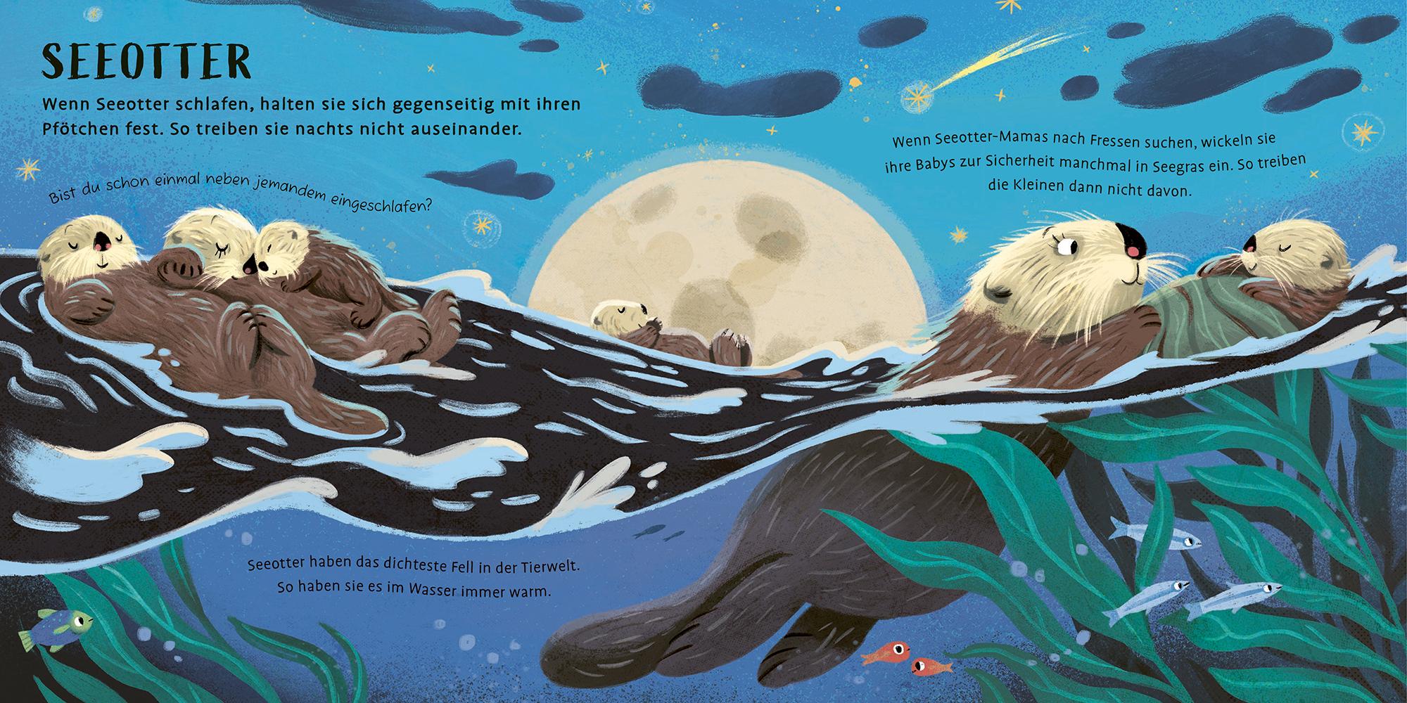 Beispielinhalt (Bild) Zeit zu schlafen, liebe Tiere