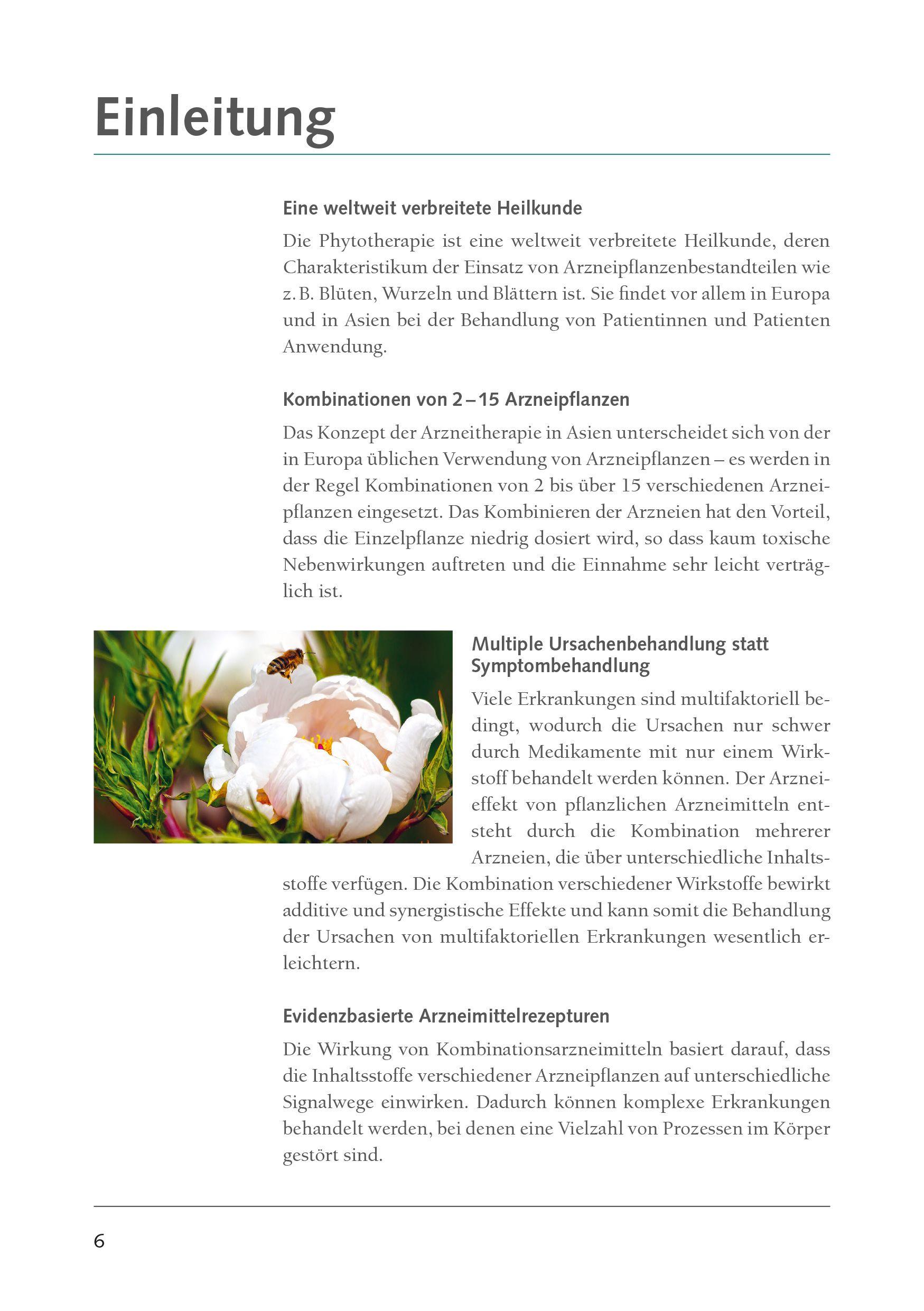 Beispielinhalt (Bild) Klassische Rezepturen der asiatischen Phytotherapie