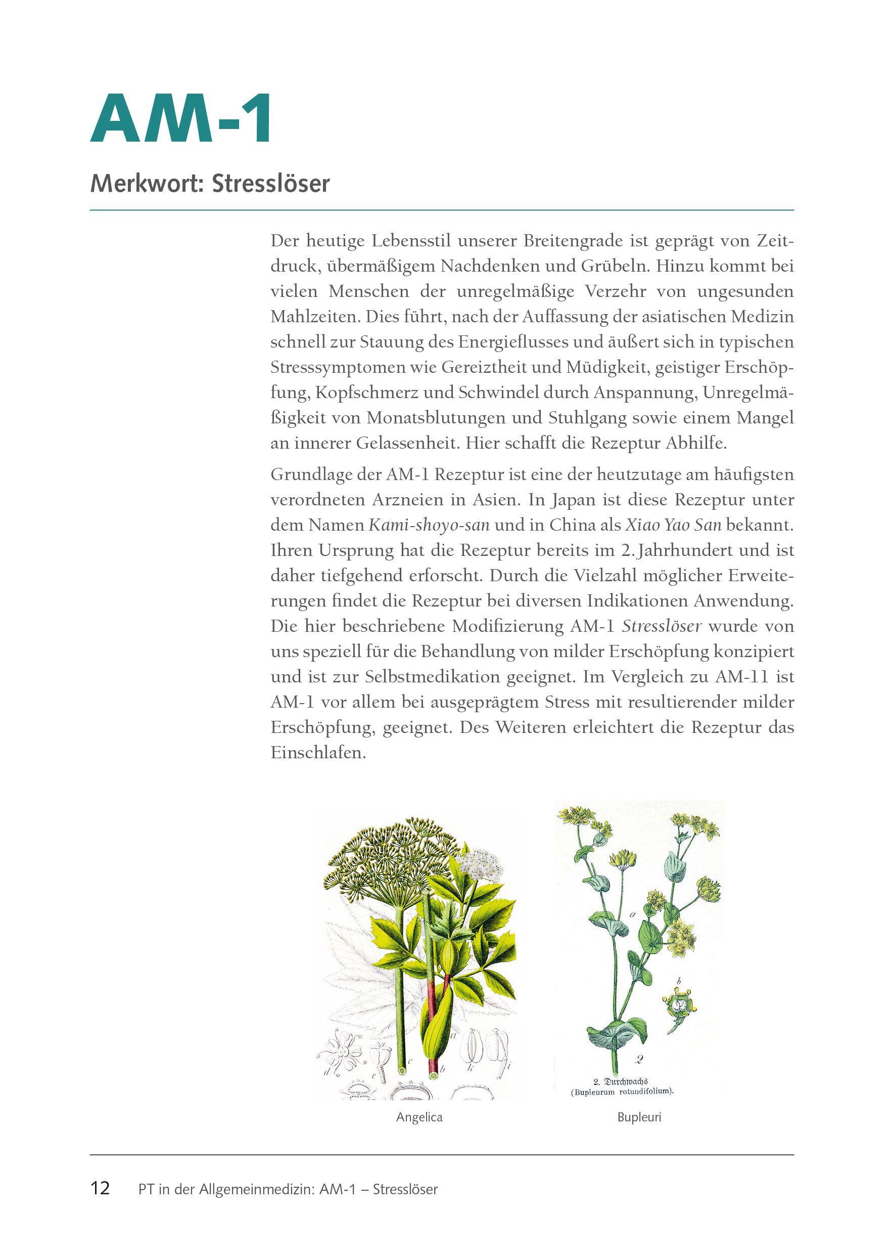 Beispielinhalt (Bild) Klassische Rezepturen der asiatischen Phytotherapie