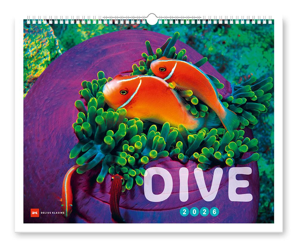 Vorderes Coverbild Dive 2026